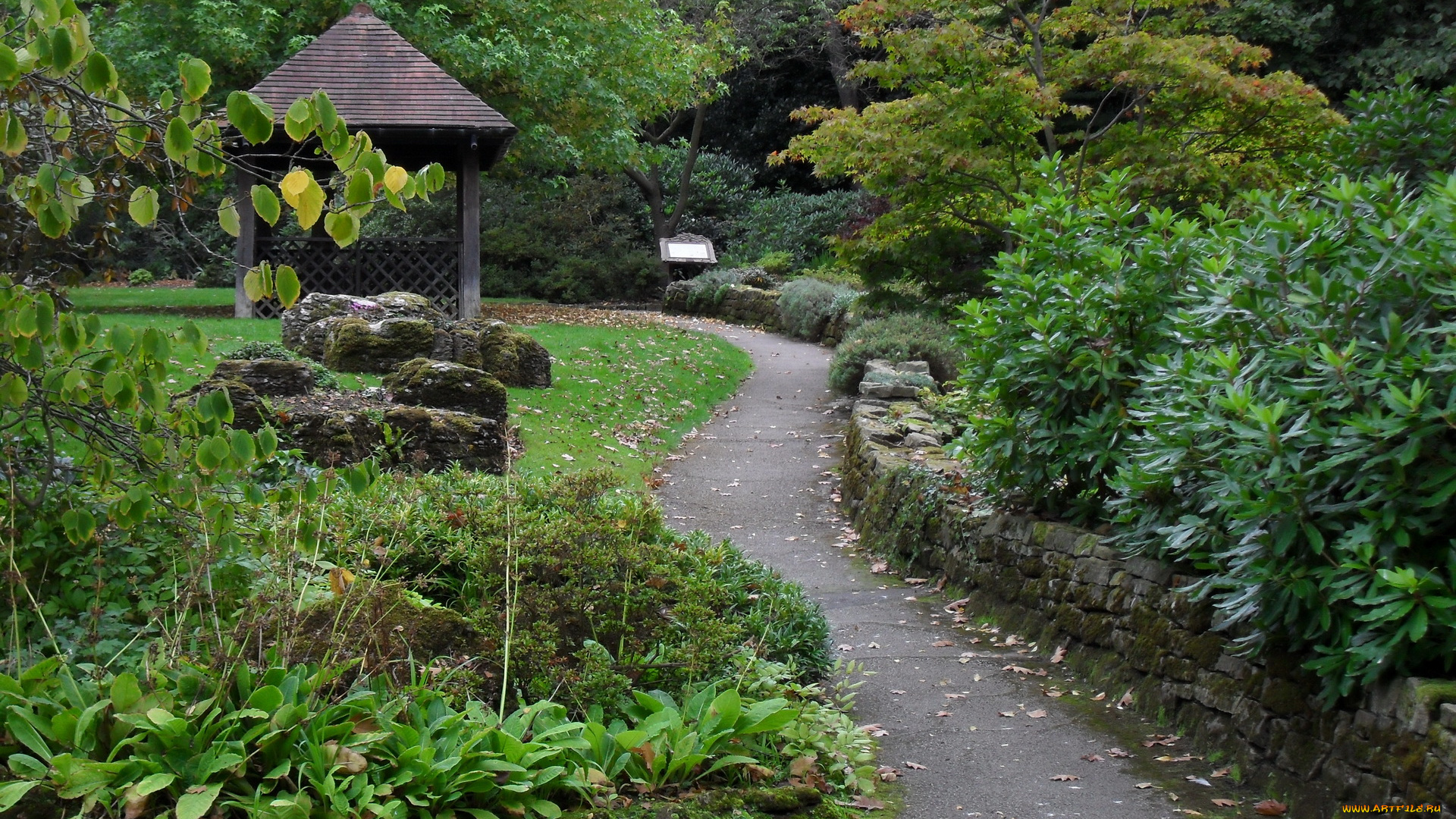 природа, парк, кусты, осень, беседка, дорожка