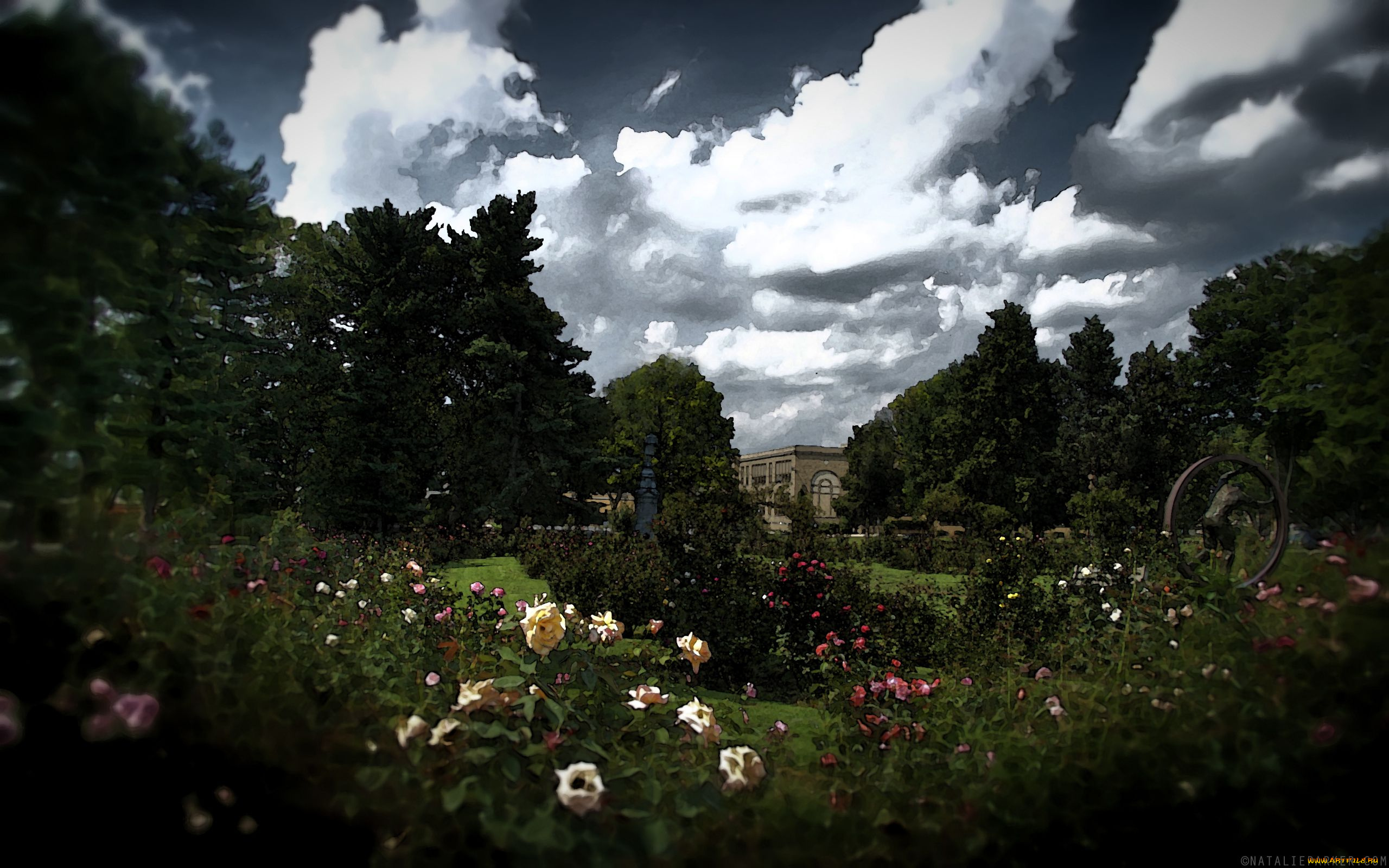 рисованные, природа, розовый, сад