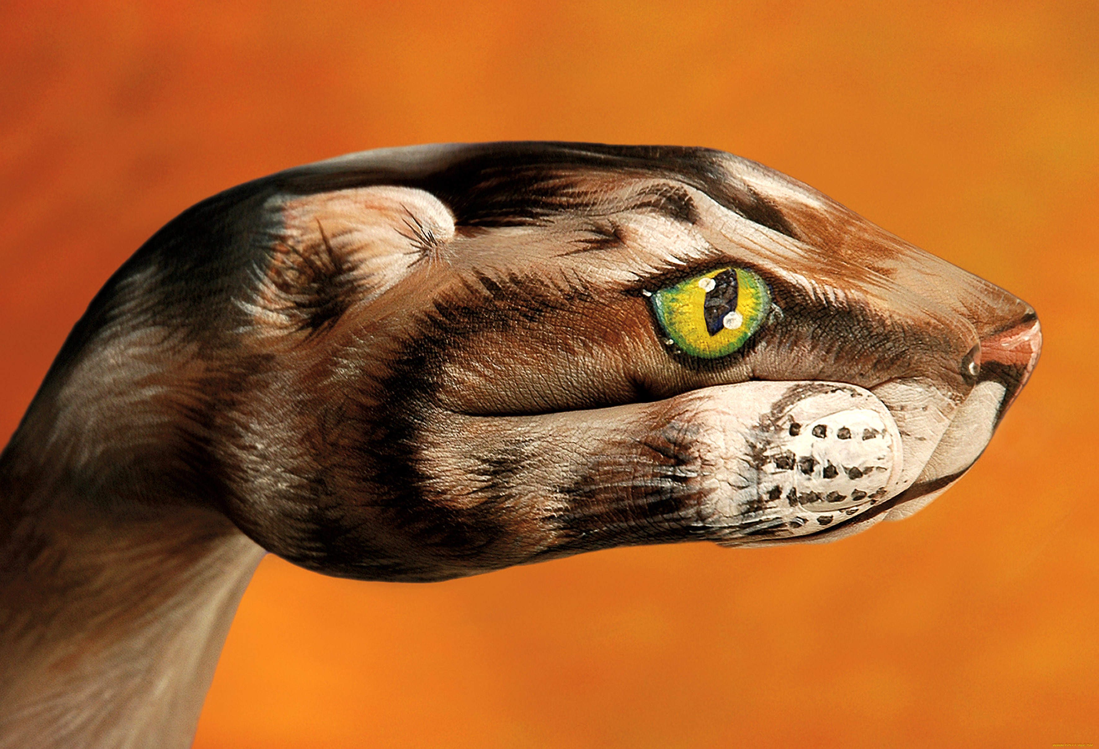 hand, painting, by, guido, daniel, разное, руки