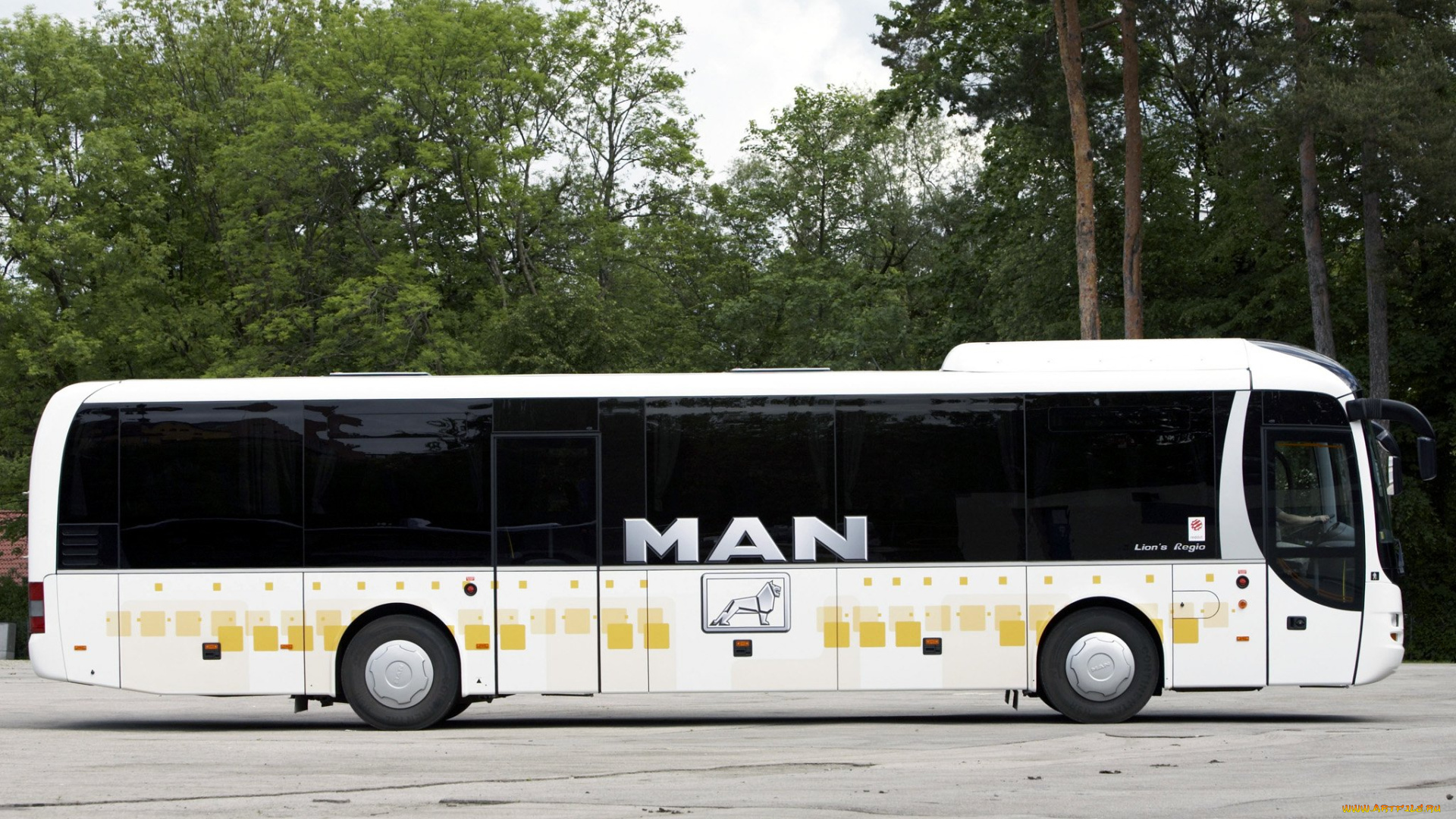 автомобили, автобусы, автобус