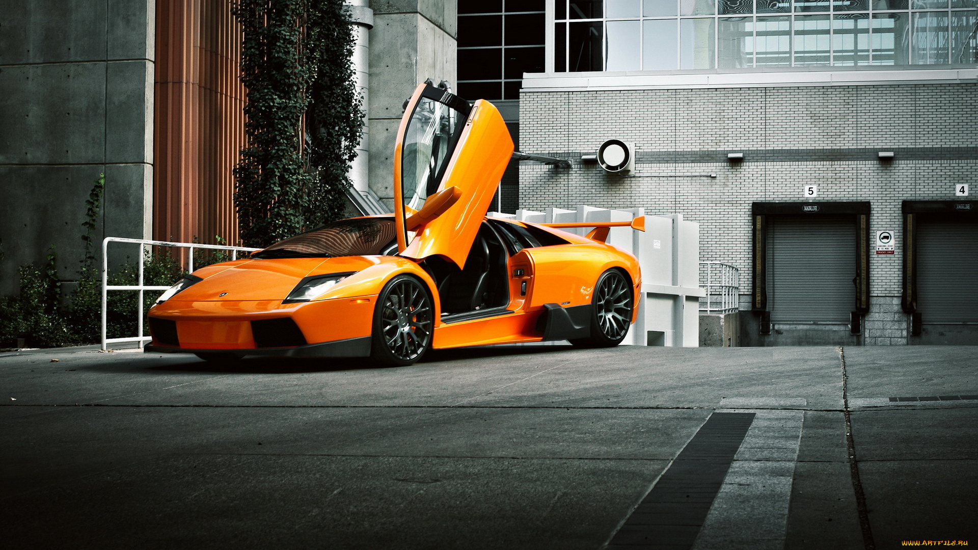 автомобили, lamborghini