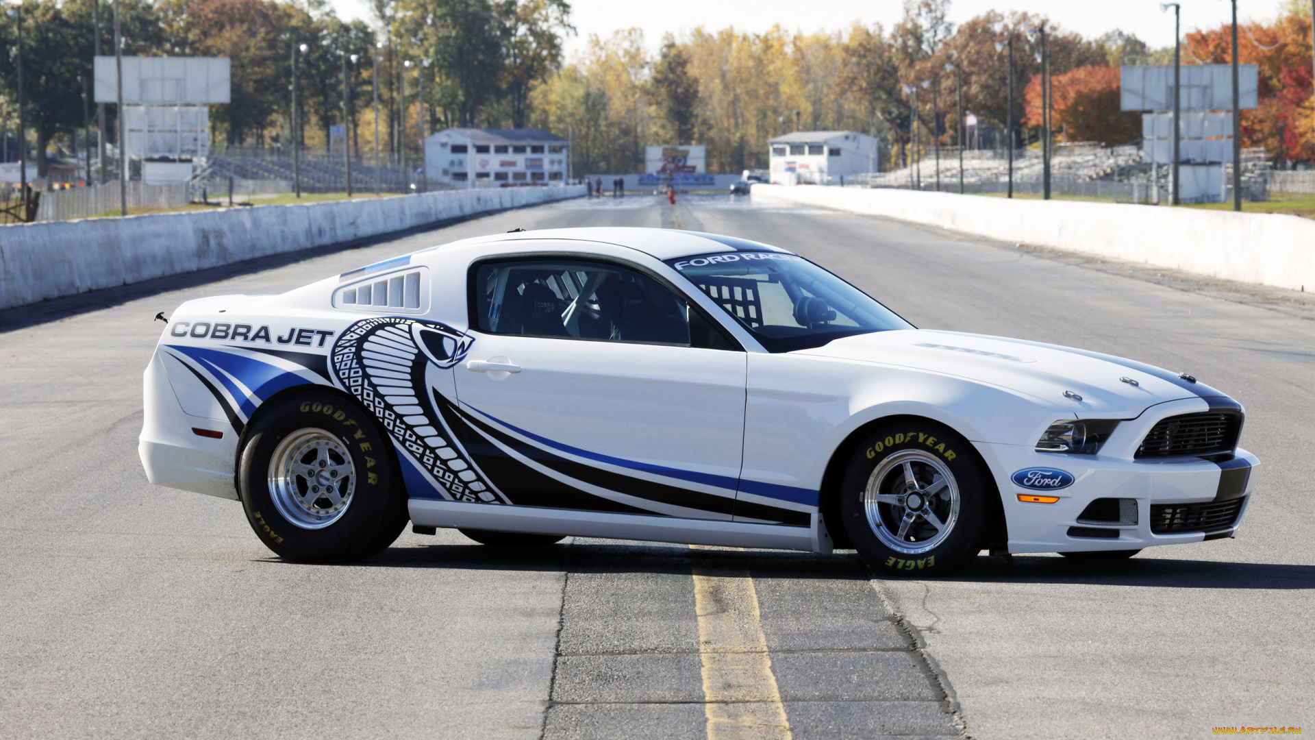 автомобили, mustang, драг, трасса, кобра, белый, мустанг