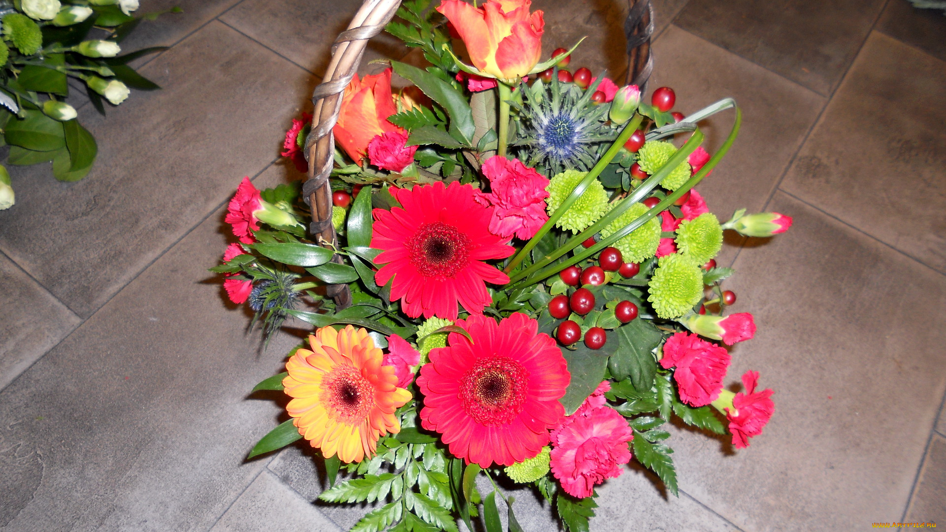 цветы, букеты, композиции, букет, корзина, розы, герберы