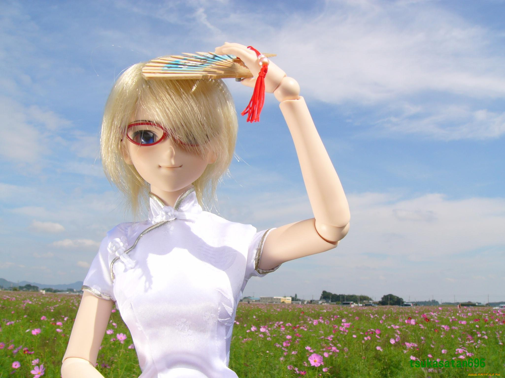 разное, игрушки, кукла, поле