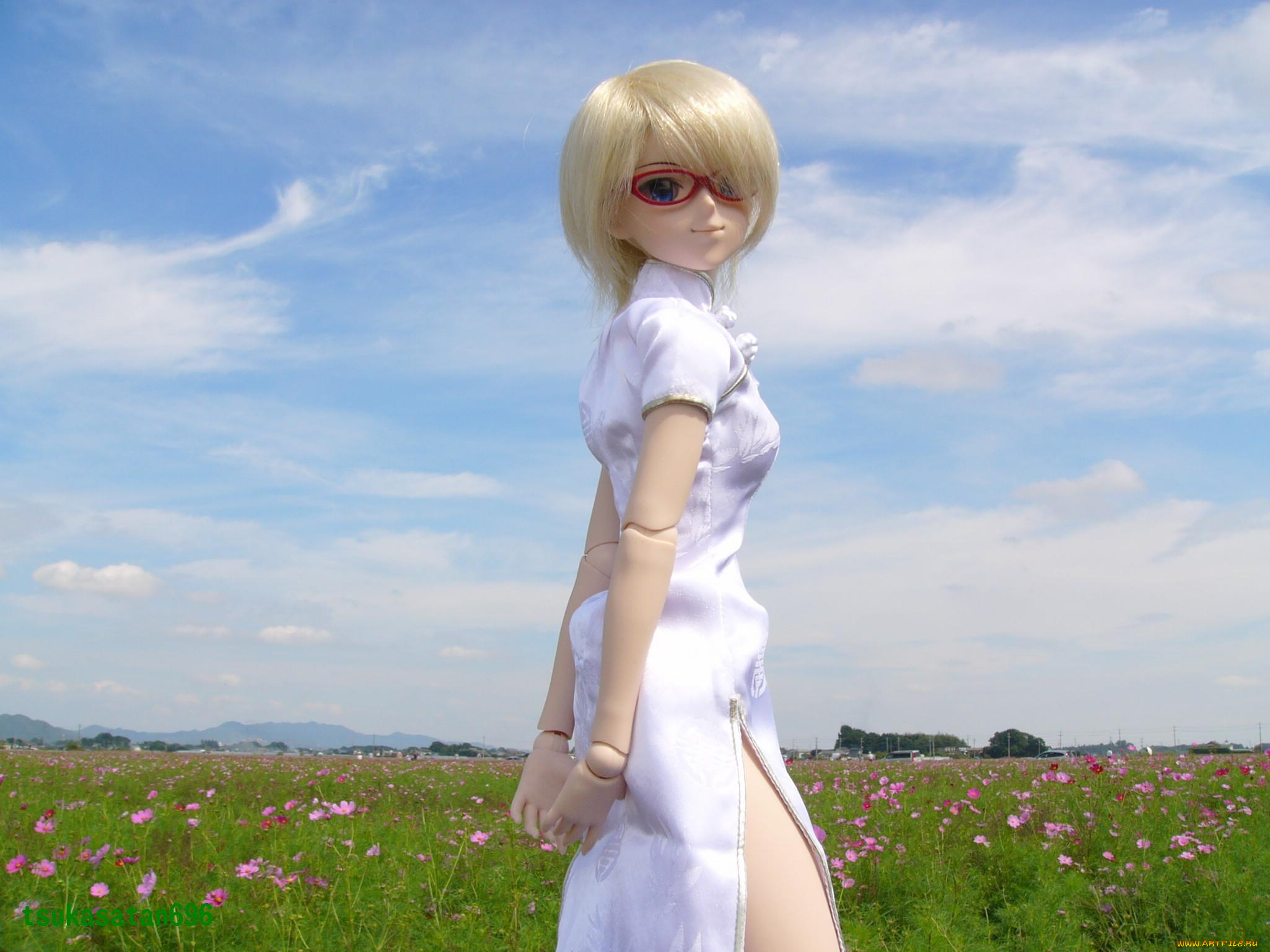 разное, игрушки, кукла, поле