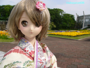 Картинка разное игрушки кукла