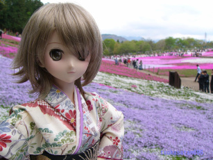 Картинка разное игрушки кукла