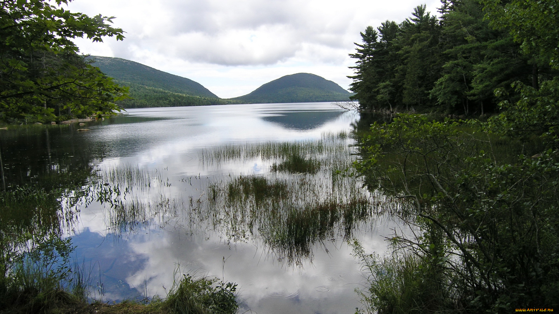 аcadia, national, park, сша, природа, реки, озера, деревья, горы, река, парк