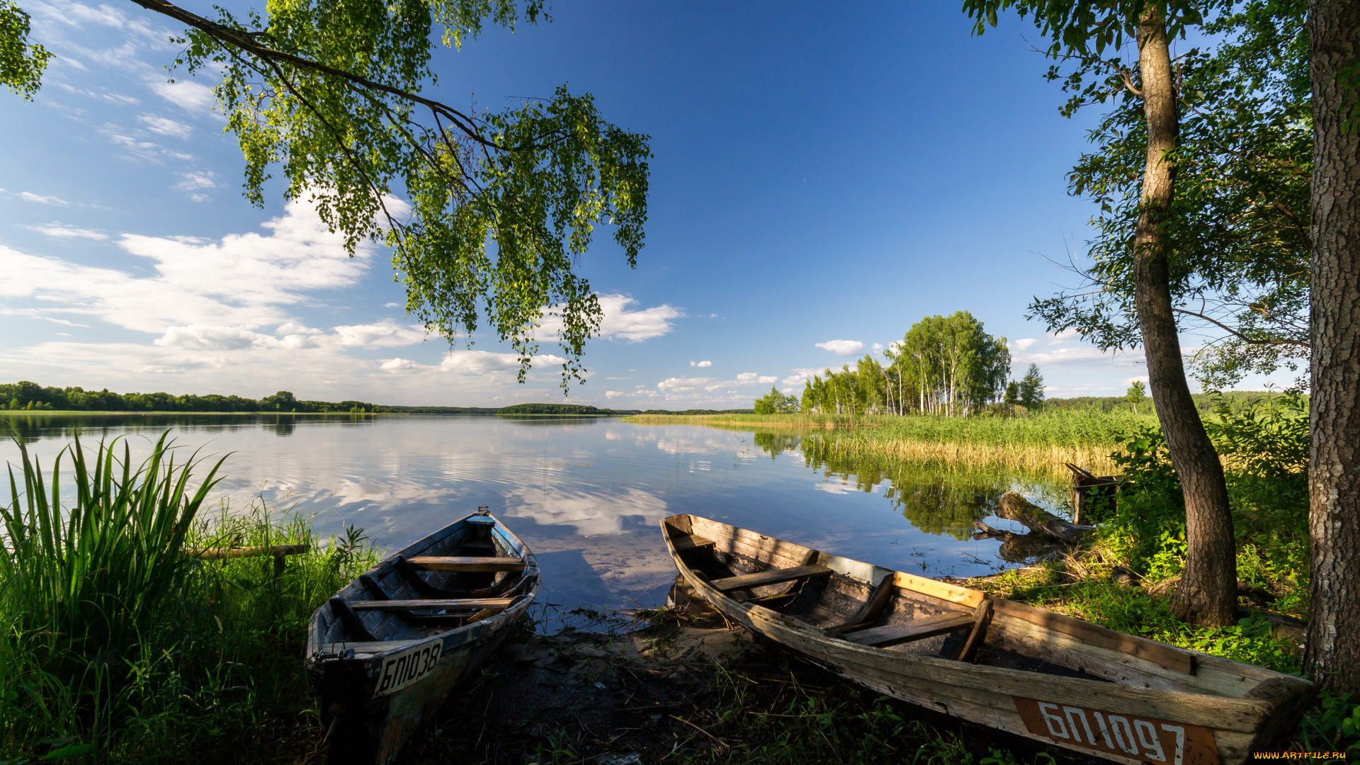 беларусь, витебск, корабли, лодки, шлюпки, лодка, река, камыши, деревья