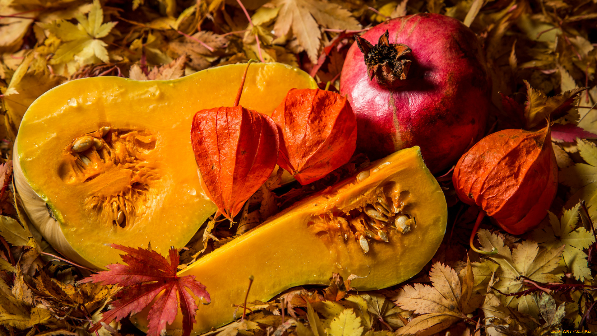 еда, фрукты, овощи, вместе, гранат, тыква, физалис