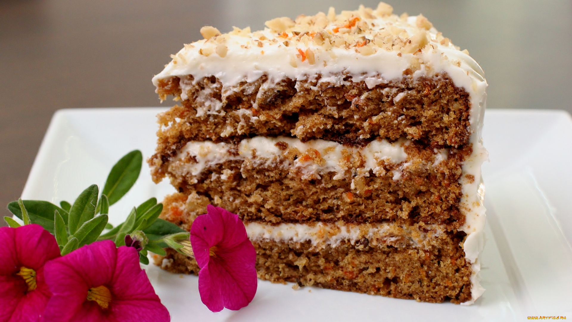 еда, торт, только, петуния, кусок