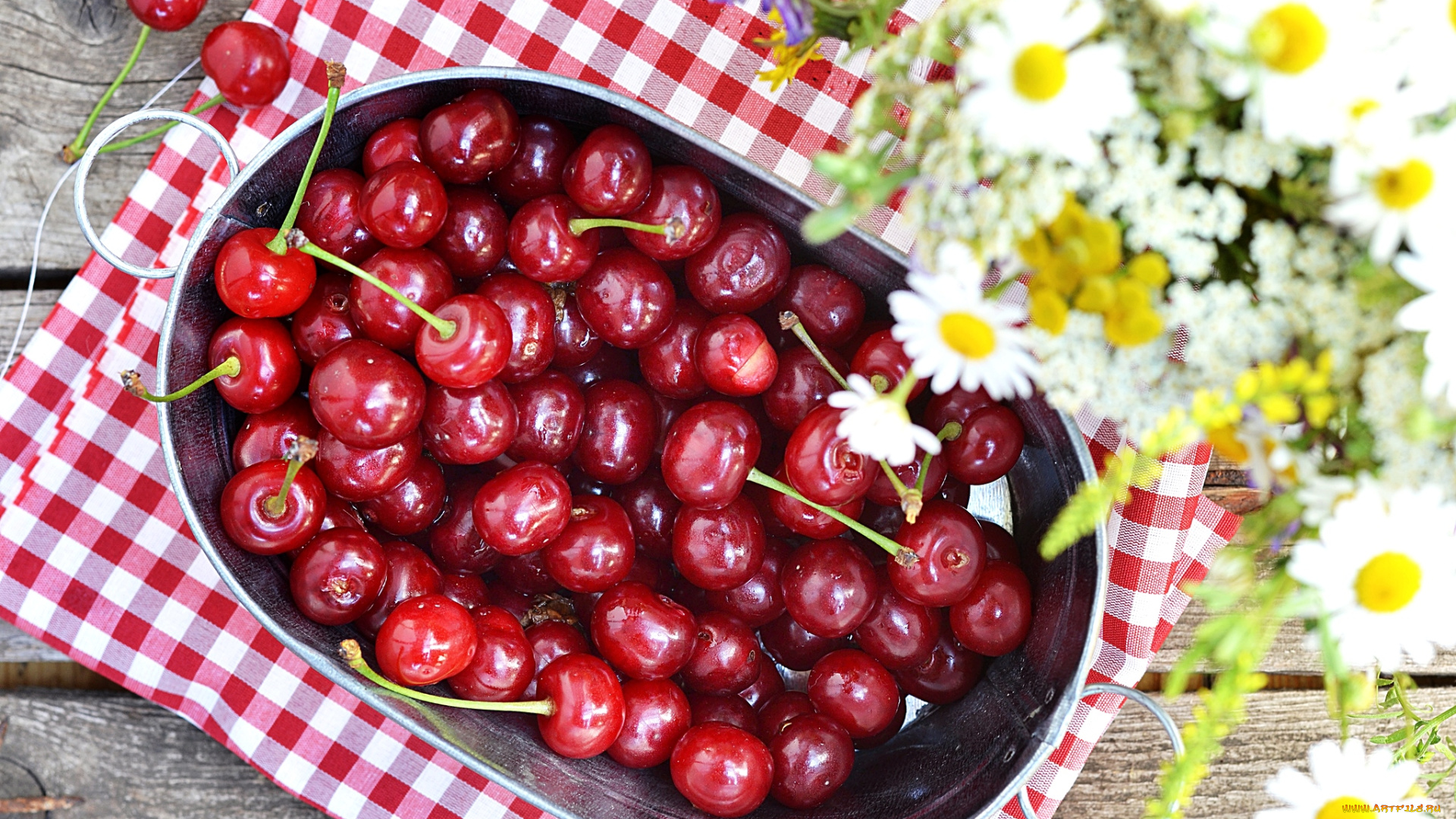 еда, вишня, черешня, вишни, ромашки