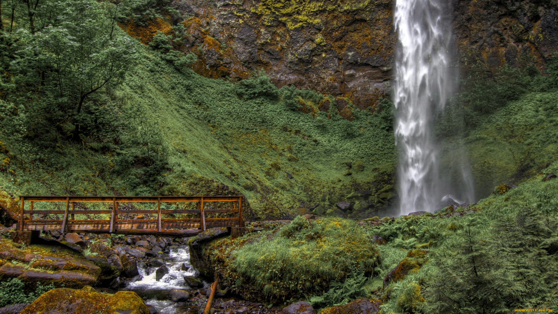elowah, falls, oregon, природа, водопады, орегон, речка, скала, мост, камни, водопад, элоуа, columbia, river, gorge