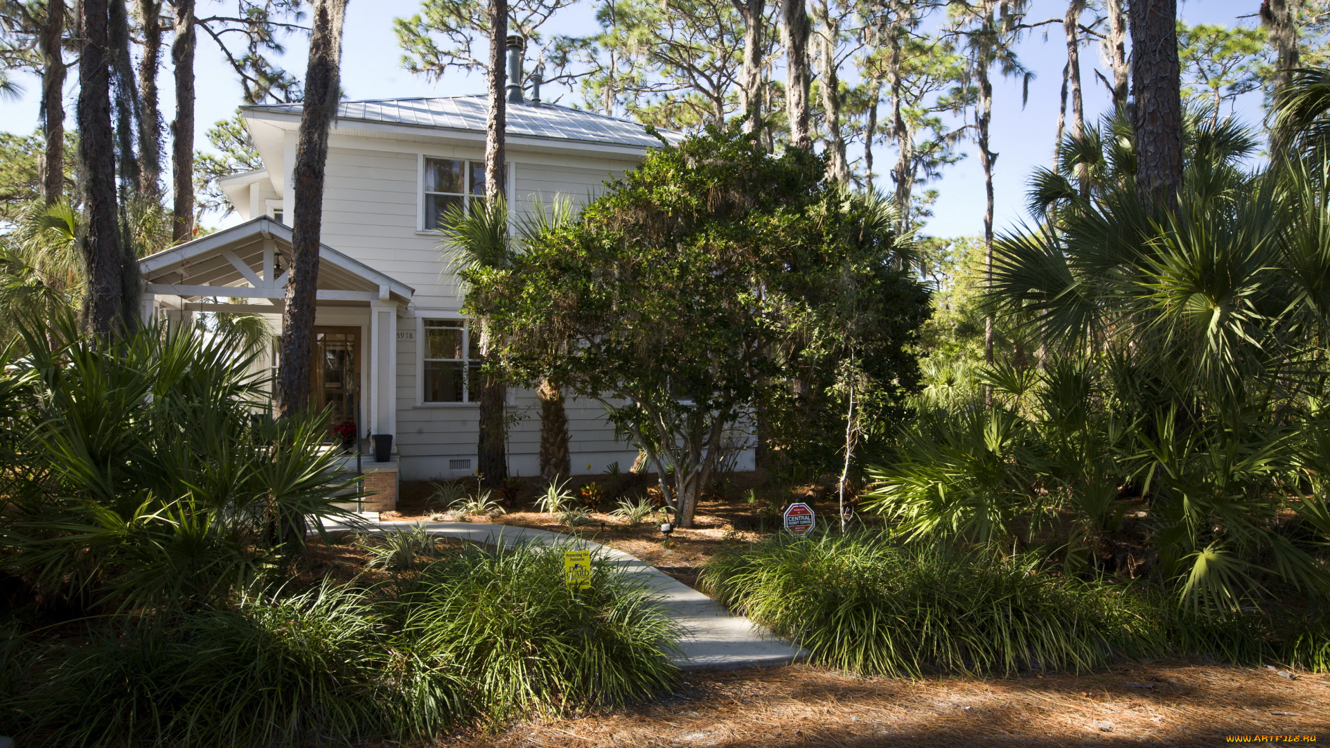 города, здания, дома, florida, дом, парк, ландшафт