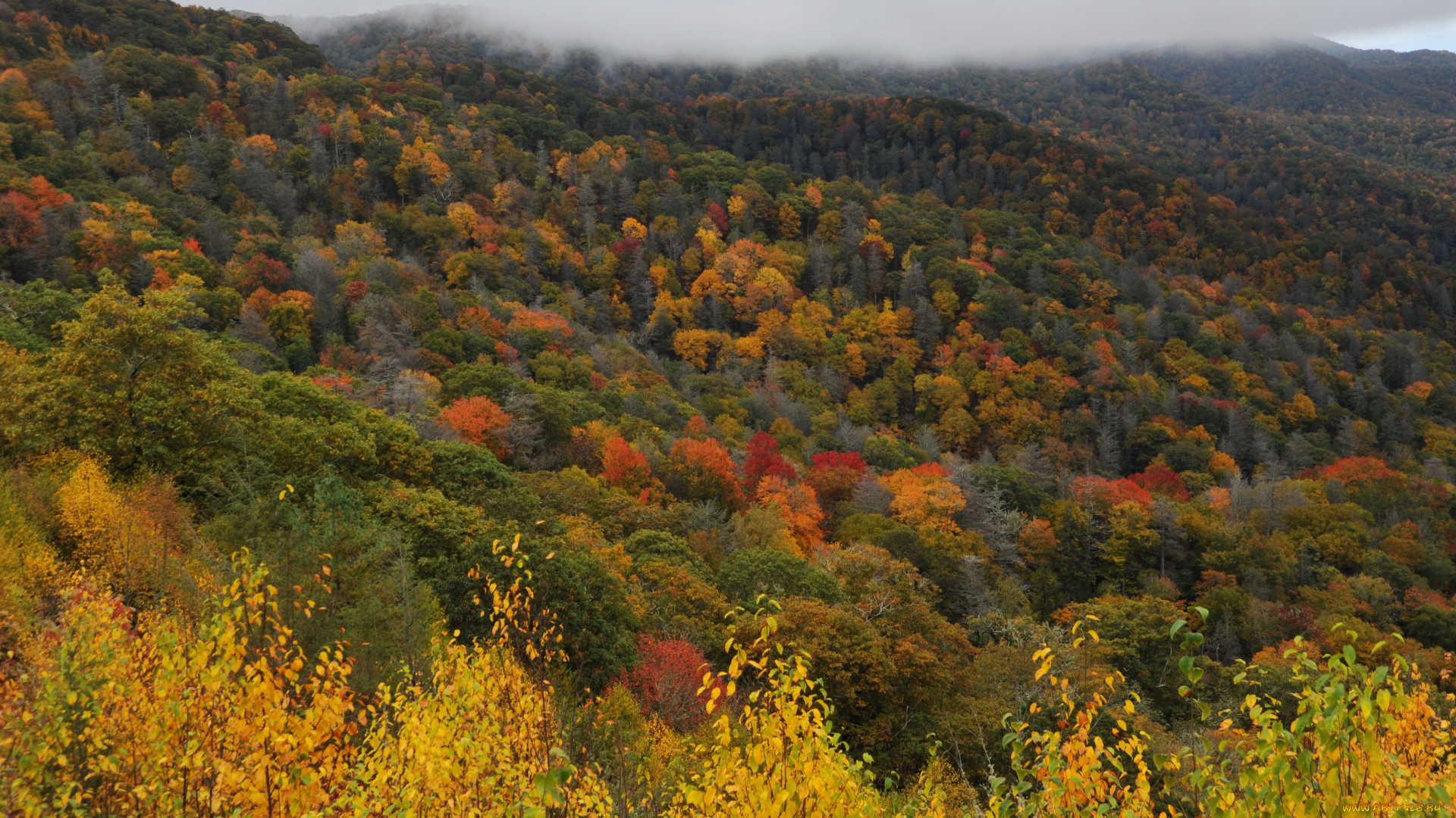 great, smoky, mountains, national, park, сша, природа, лес, осень, парк, горы