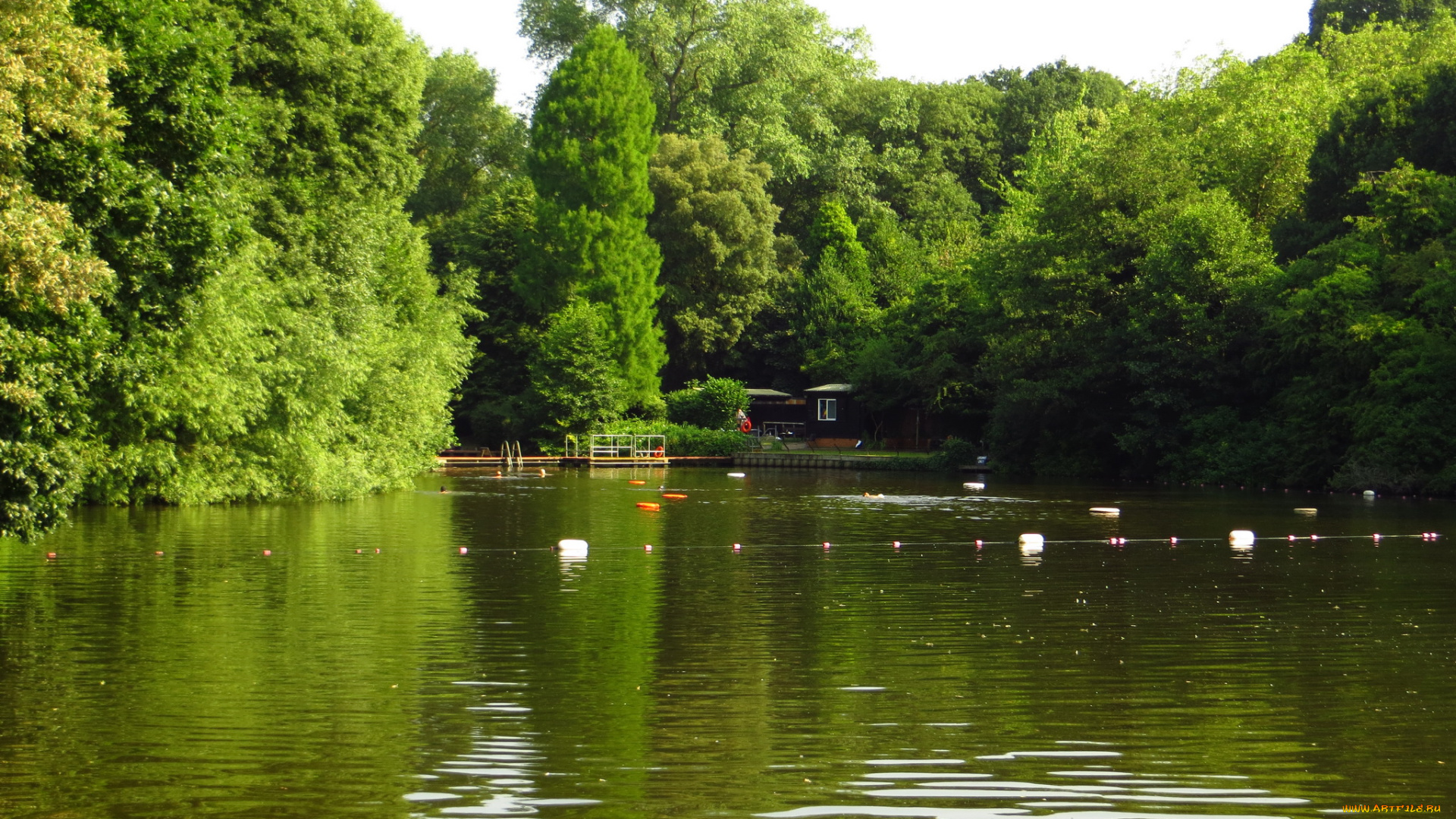 лондонский, парк, хэмпстед, хит, природа, лондон, пруд, деревья