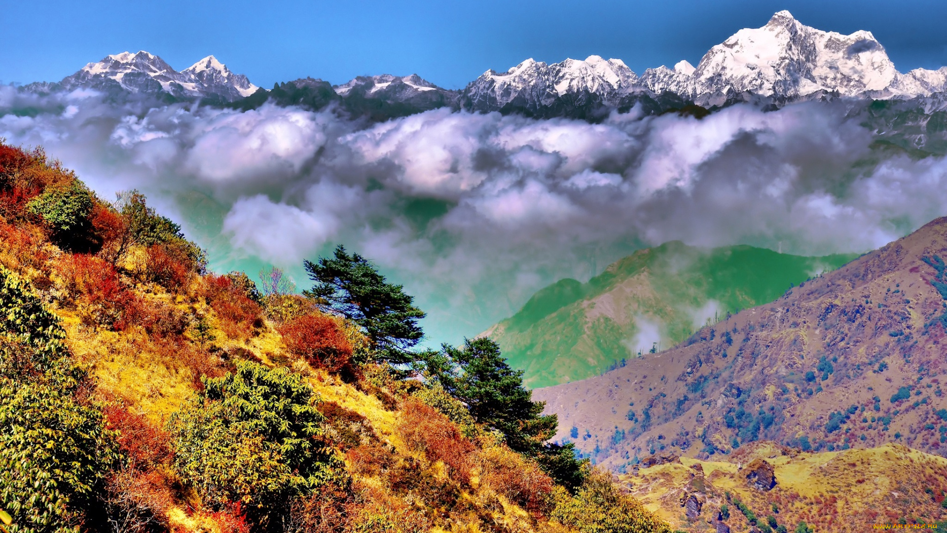 природа, горы, кустарник, деревья, трава, ущелье, снега, вершины