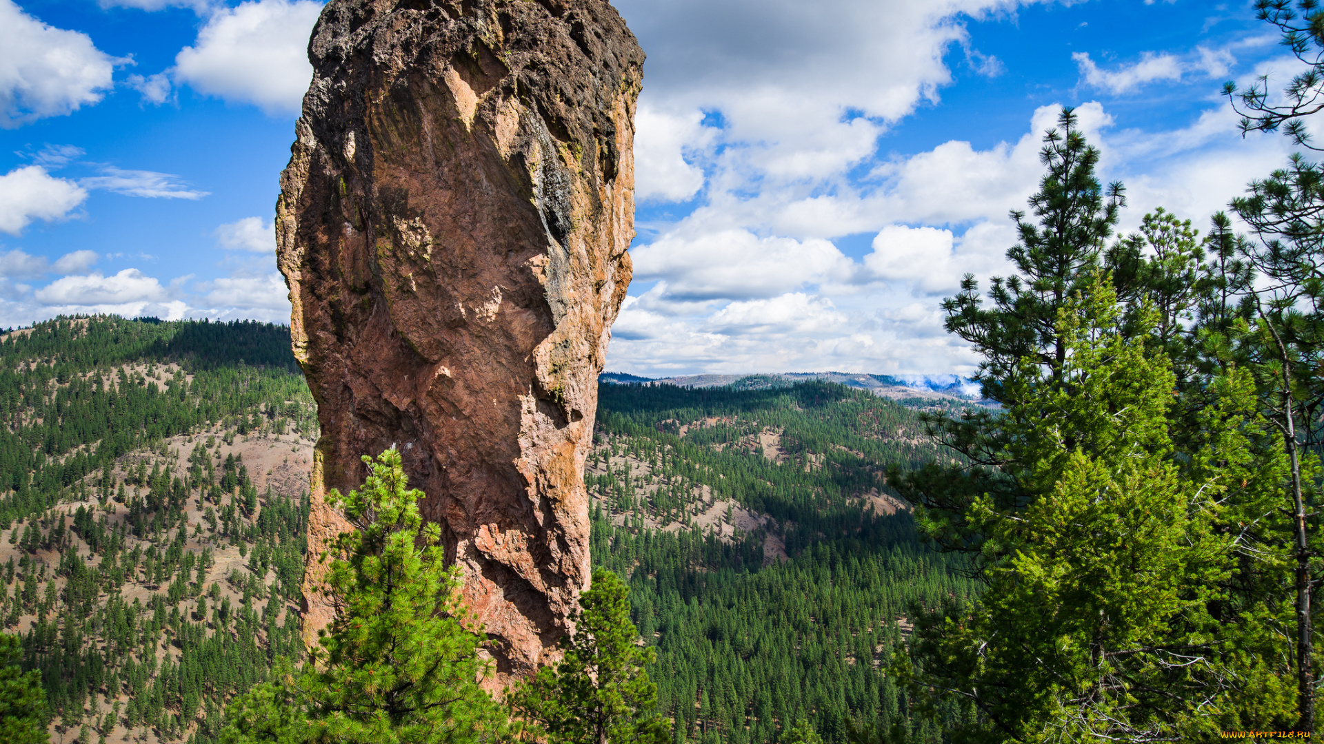 природа, пейзажи, скала, равнина, леса, облака