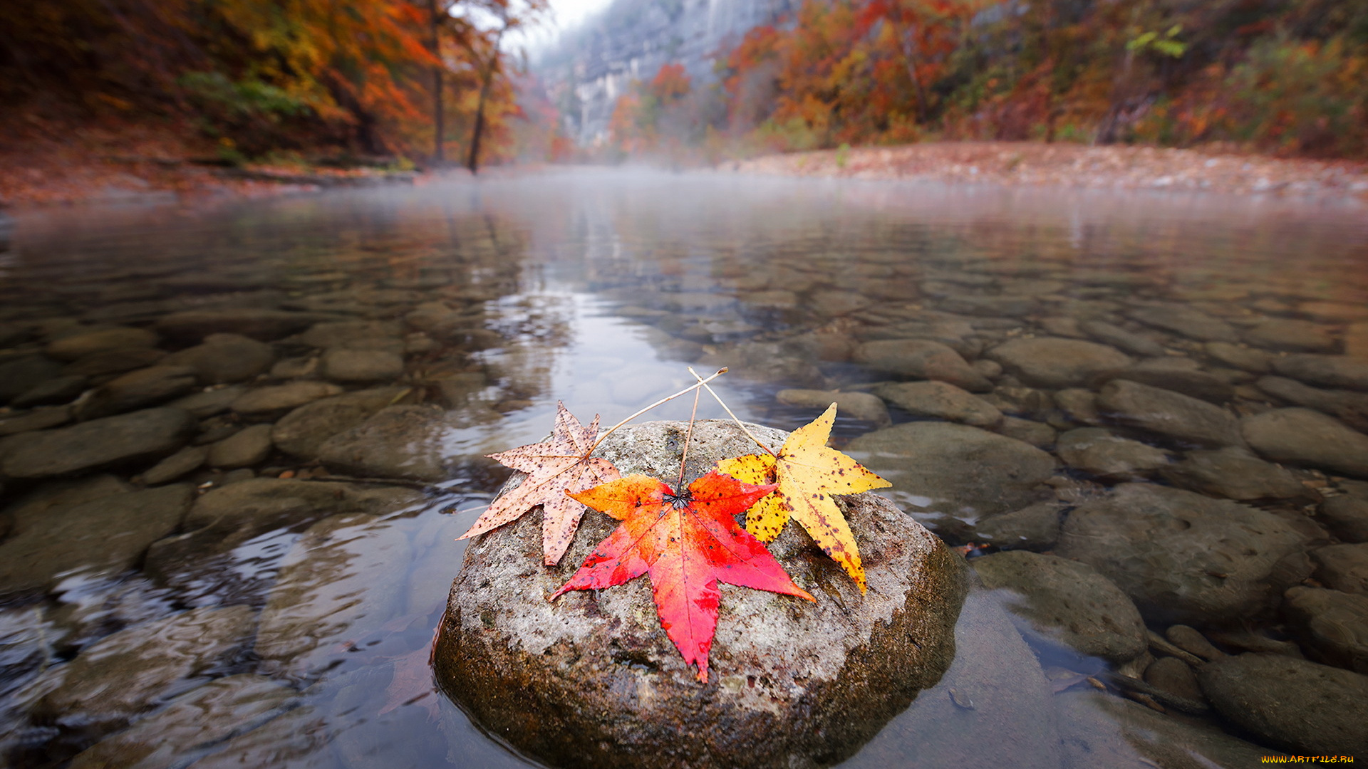 природа, реки, озера, дно, камни, осень, листья, река