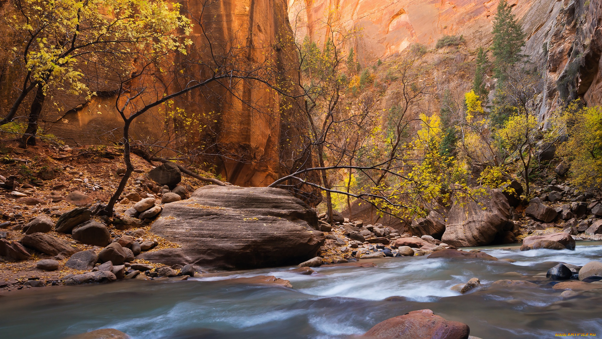 природа, реки, озера, горы, скалы, ущелье, река, камни, деревья