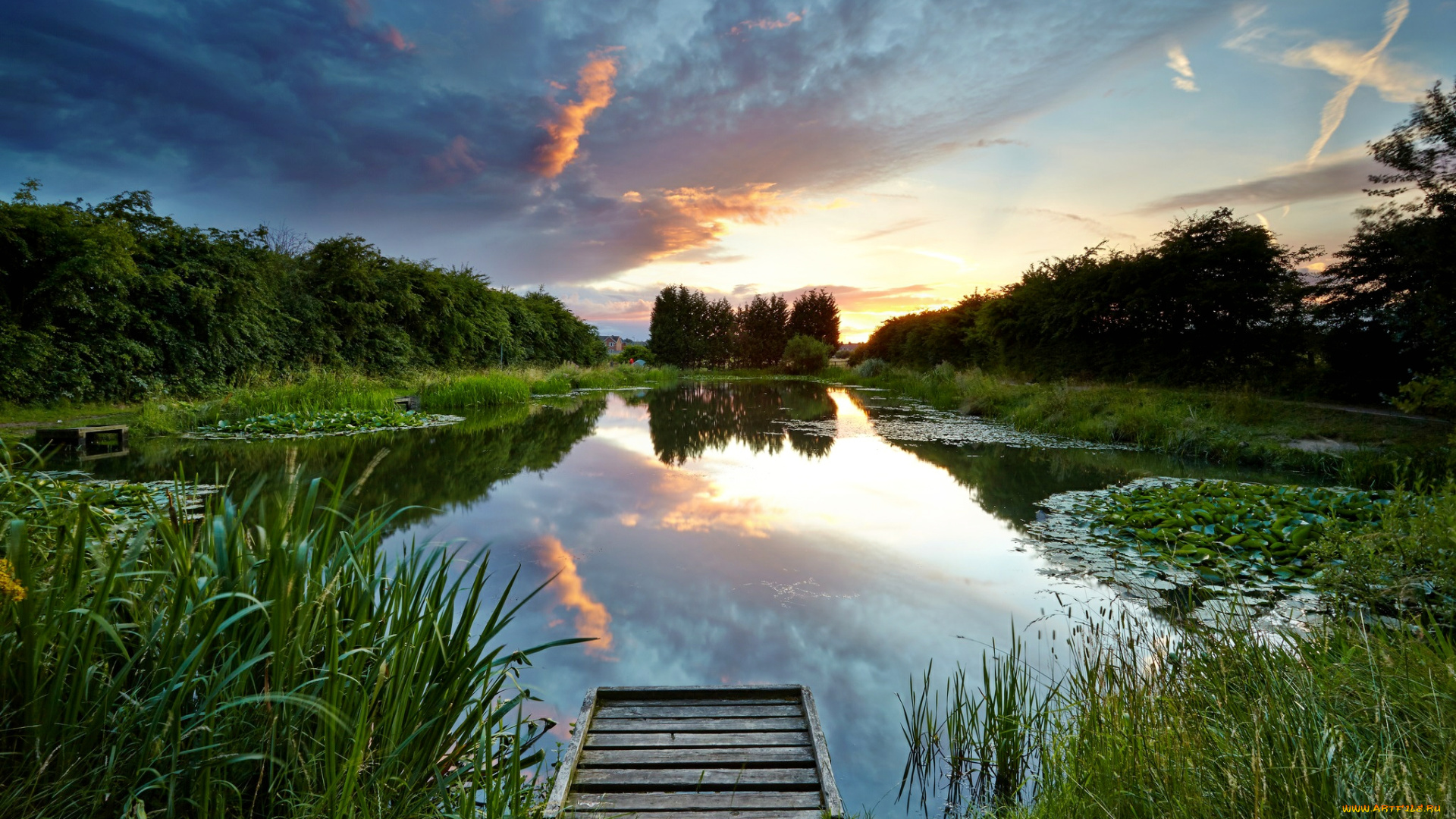 природа, реки, озера, лес, заря, облака, мостик, озеро, осока