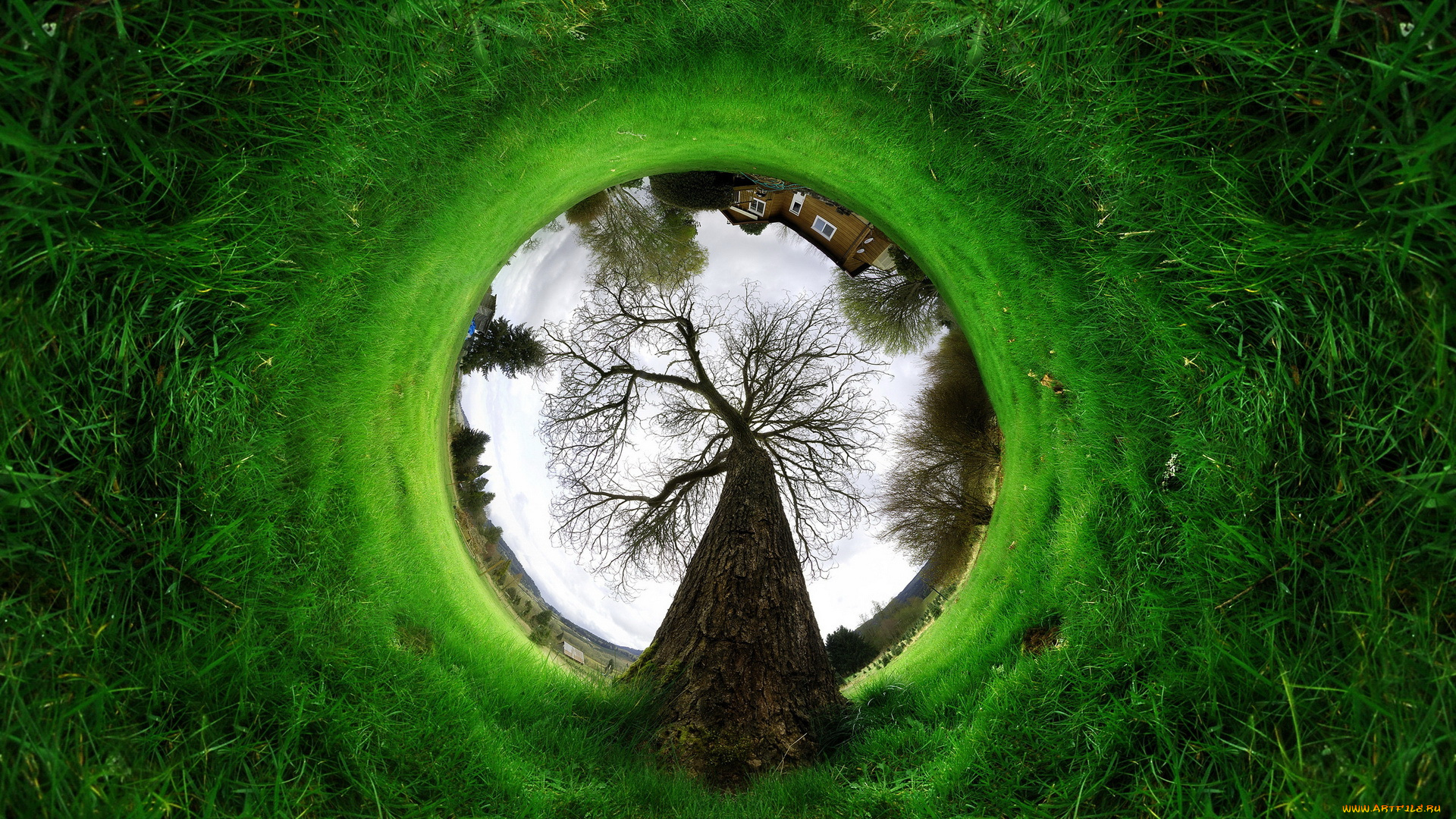 разное, компьютерный, дизайн, дома, трава, дерево