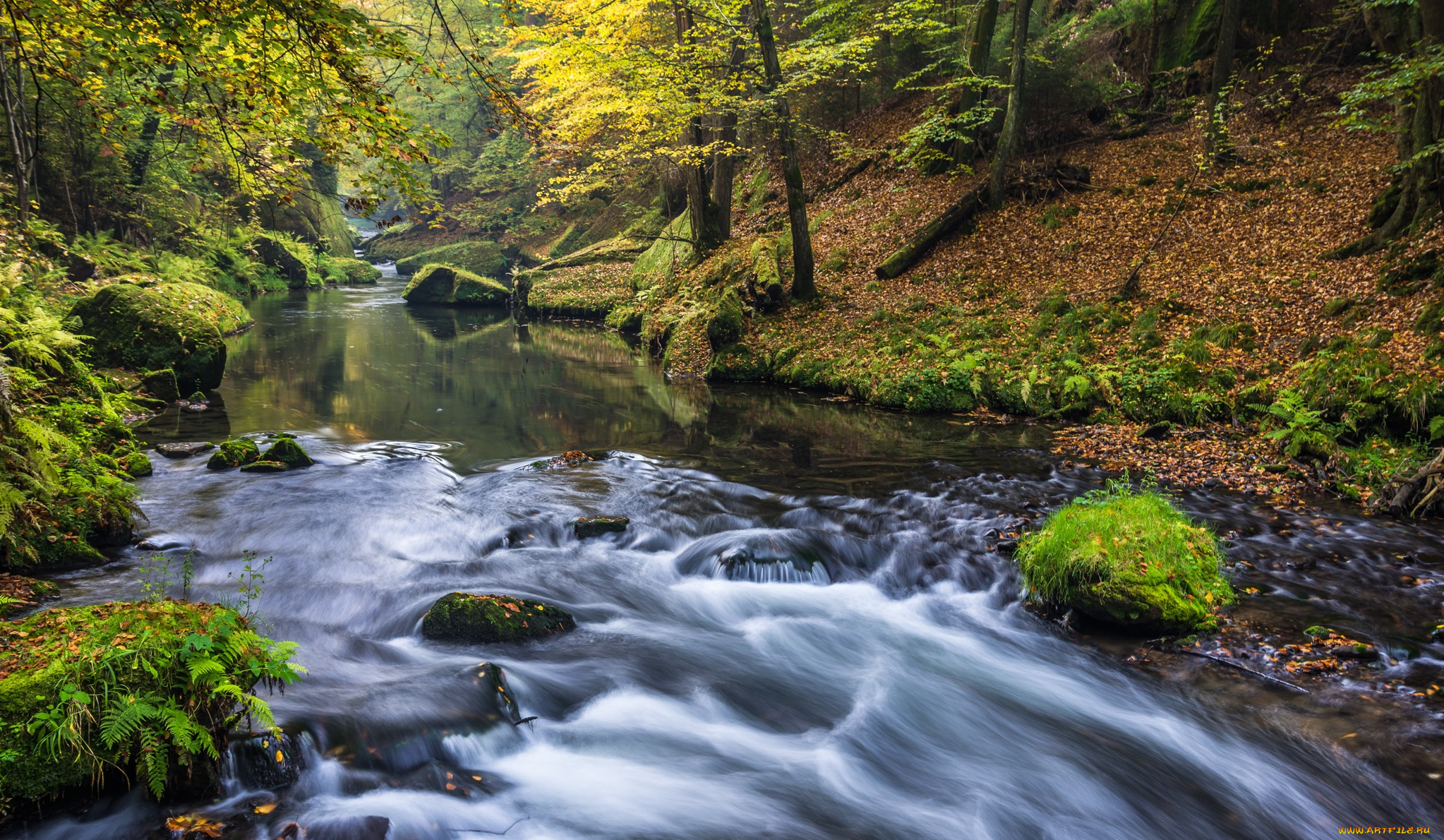 природа, реки, озера, мох, камни, река, лес, осень
