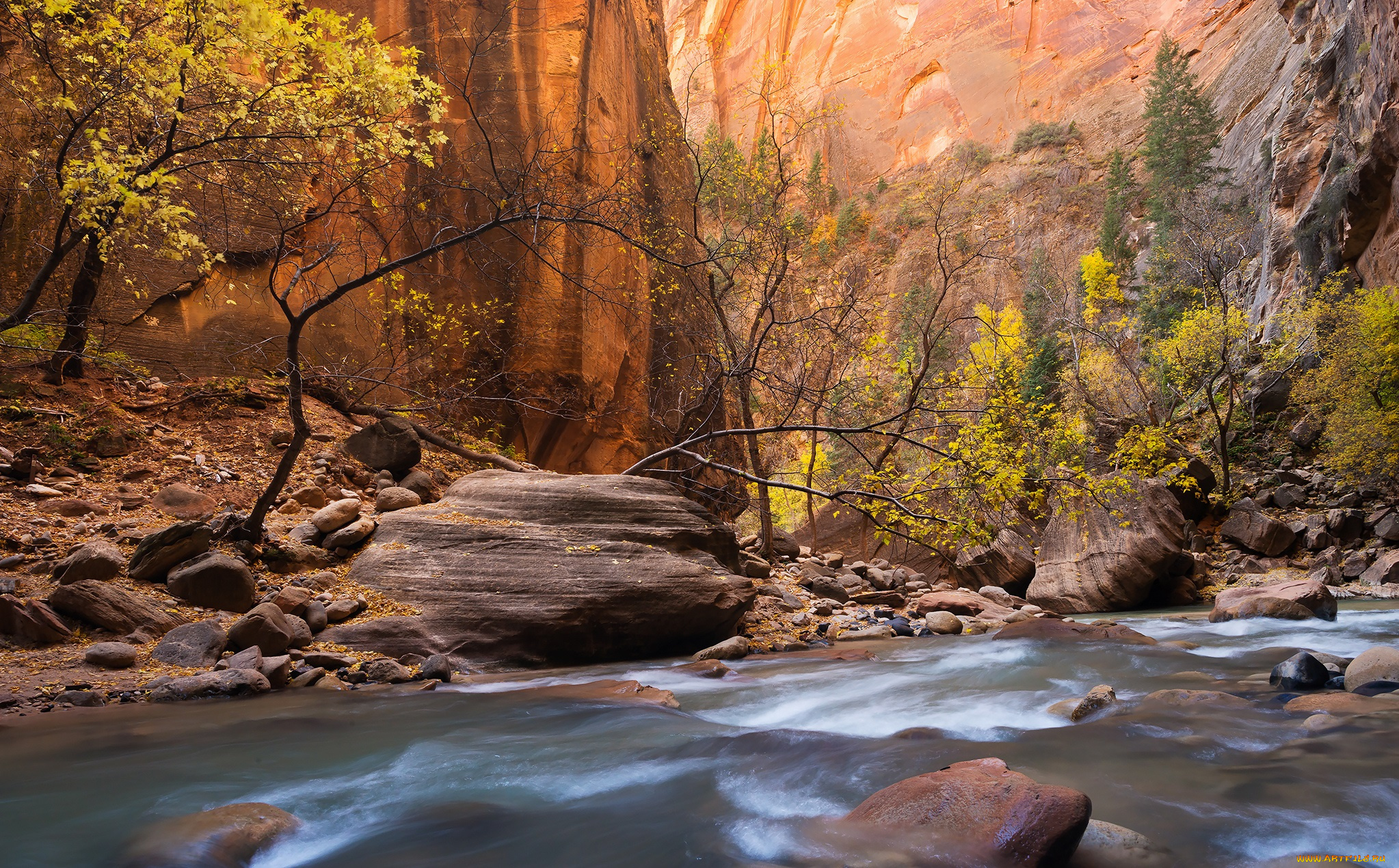 природа, реки, озера, горы, скалы, ущелье, река, камни, деревья