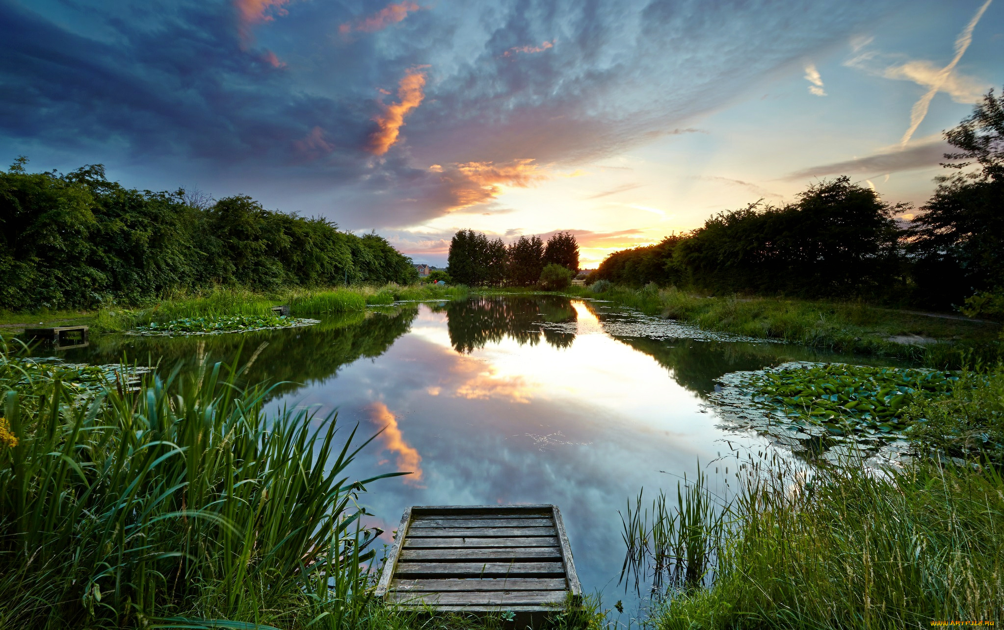 природа, реки, озера, лес, заря, облака, мостик, озеро, осока