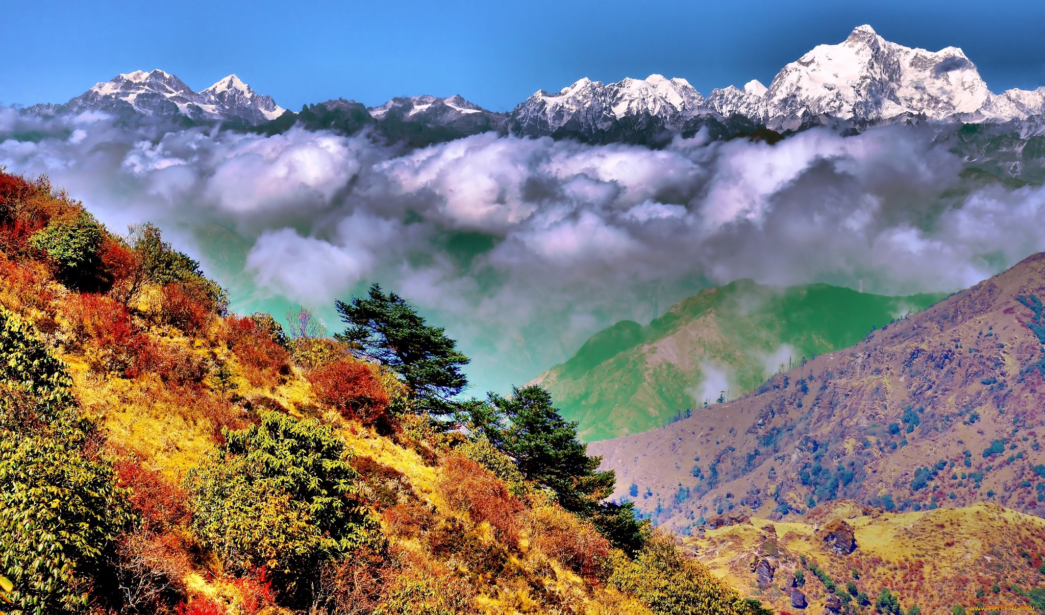 природа, горы, кустарник, деревья, трава, ущелье, снега, вершины