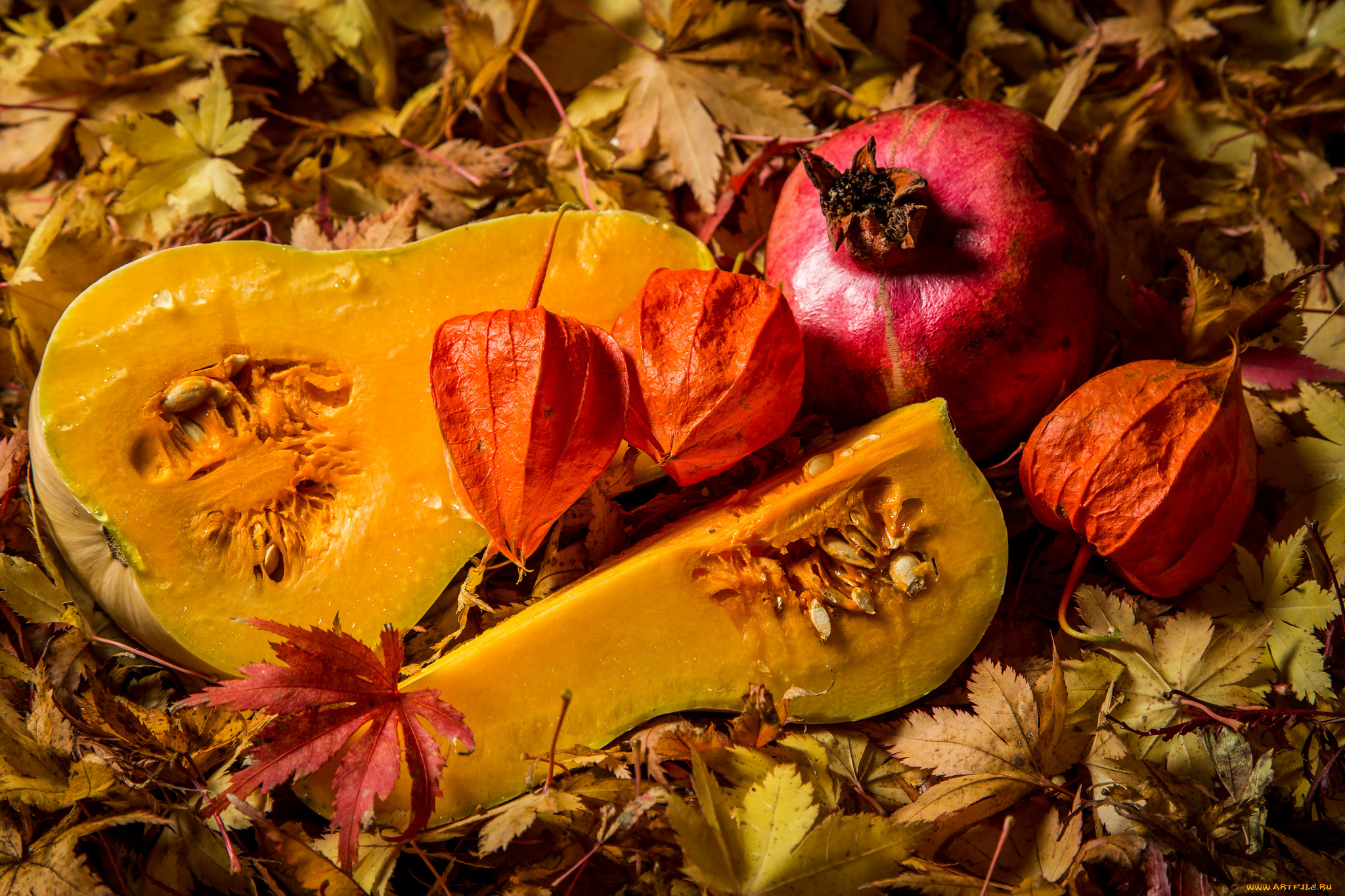 еда, фрукты, овощи, вместе, гранат, тыква, физалис