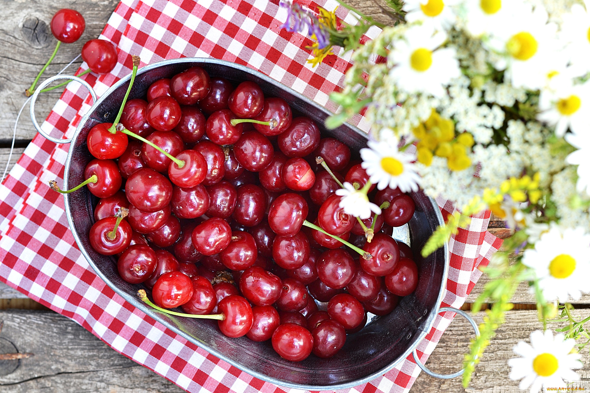 еда, вишня, черешня, вишни, ромашки