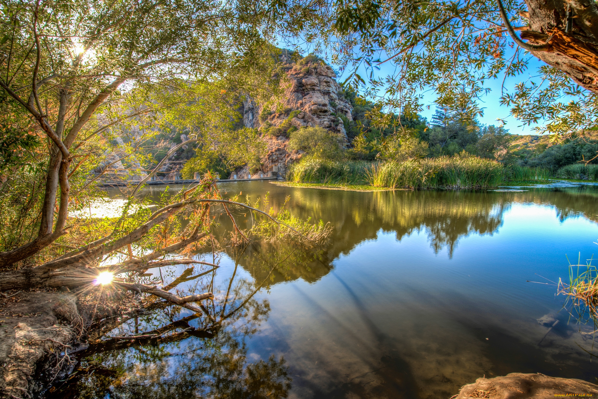 природа, реки, озера, вода, деревья
