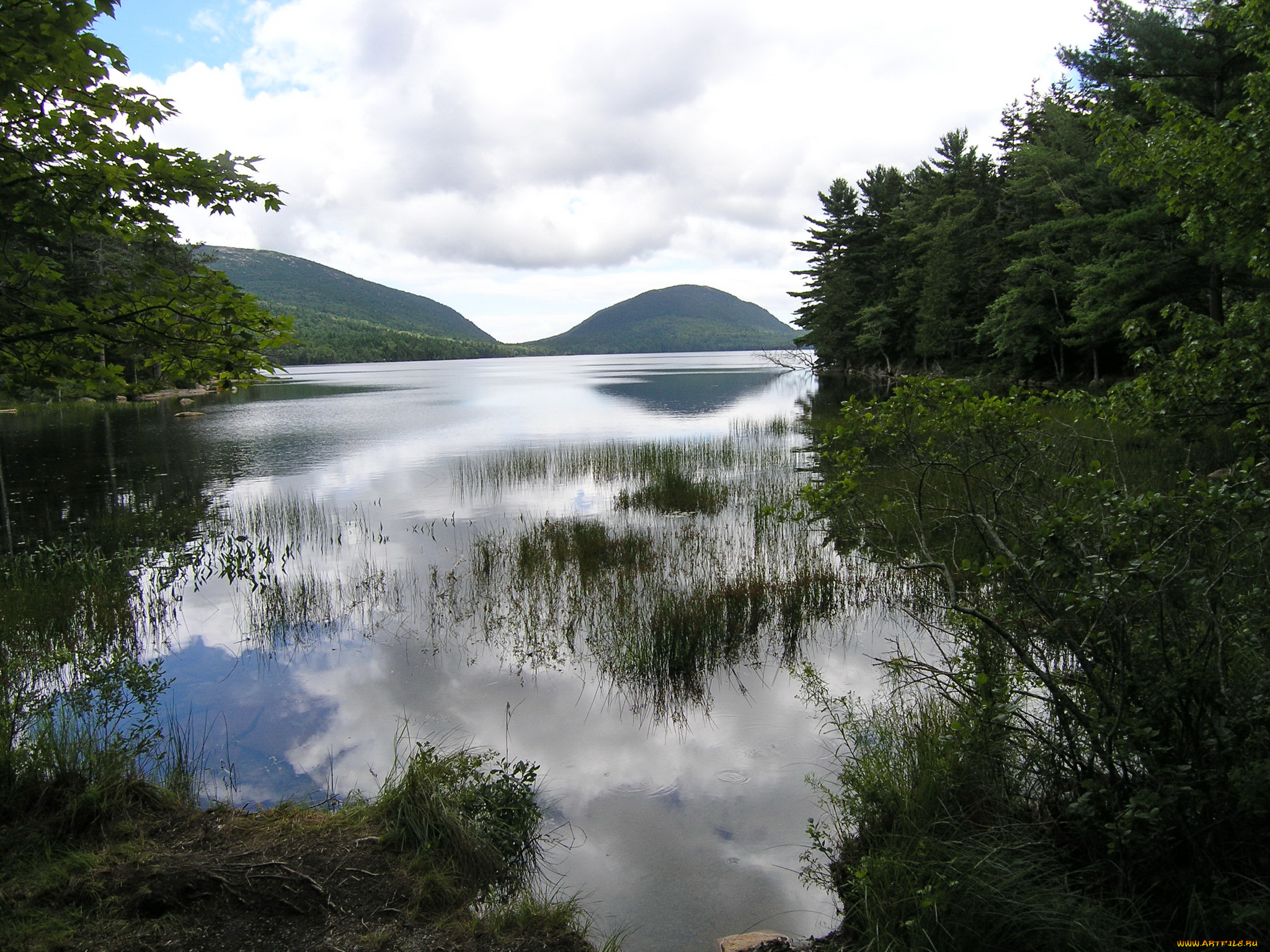 аcadia, national, park, сша, природа, реки, озера, деревья, горы, река, парк