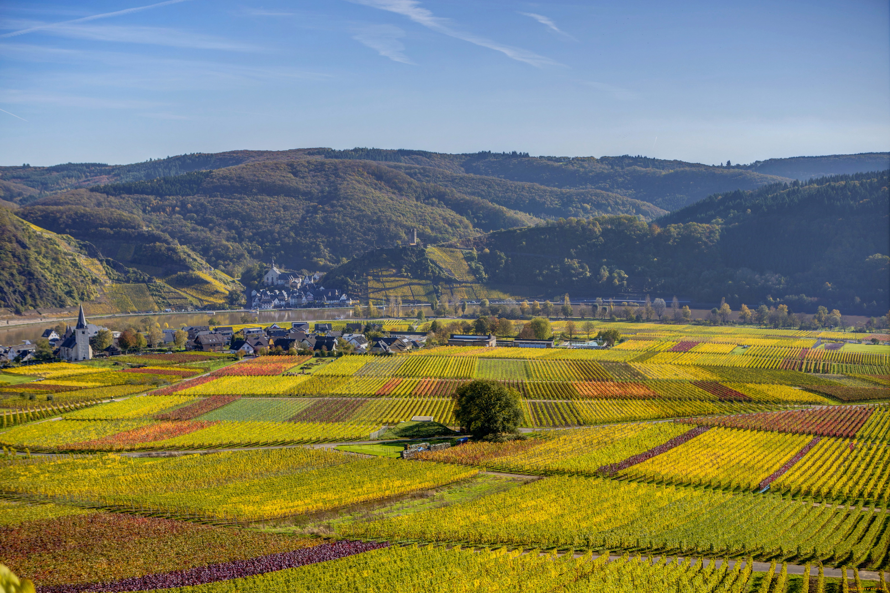 германия, элленц, польтерсдорф, природа, поля, облака, трава