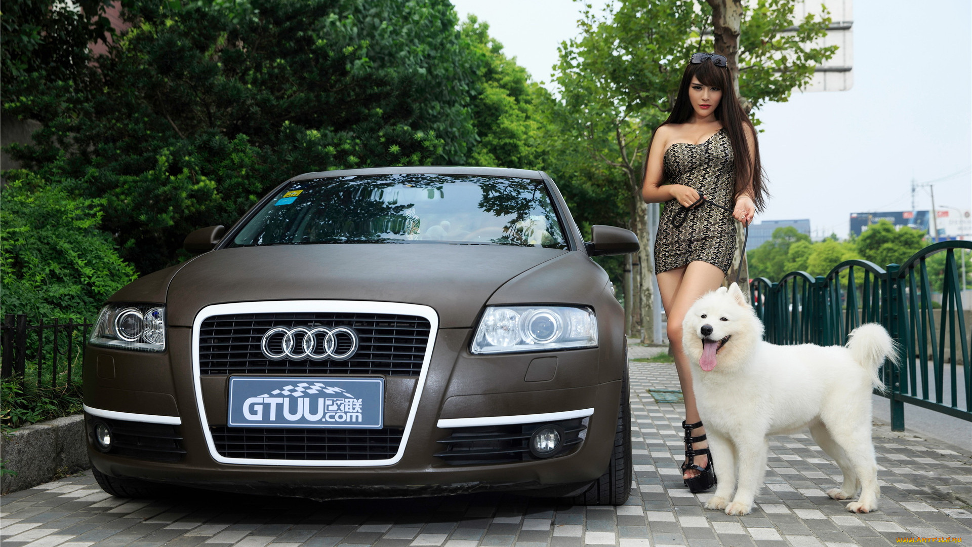 автомобили, -авто, с, девушками, автомобиль, собака, взгляд, девушка