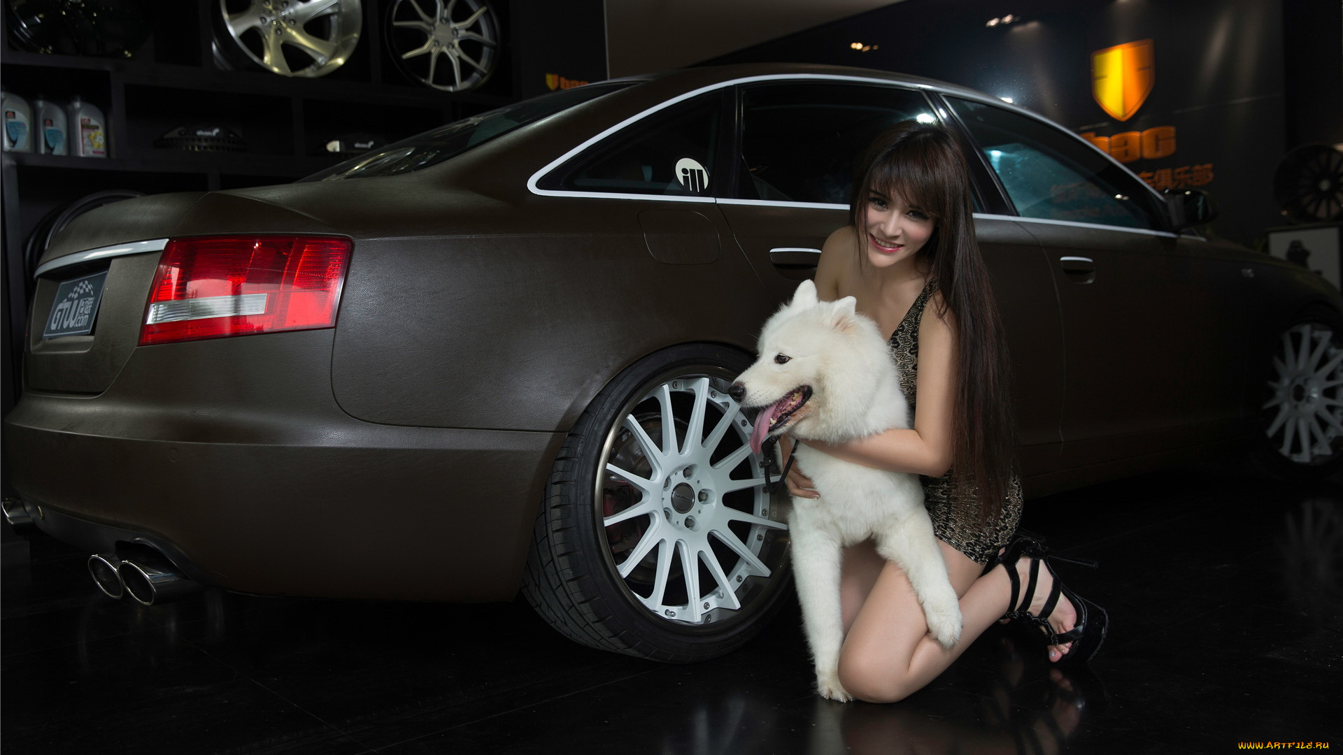 автомобили, -авто, с, девушками, улыбка, автомобиль, собака, взгляд, девушка
