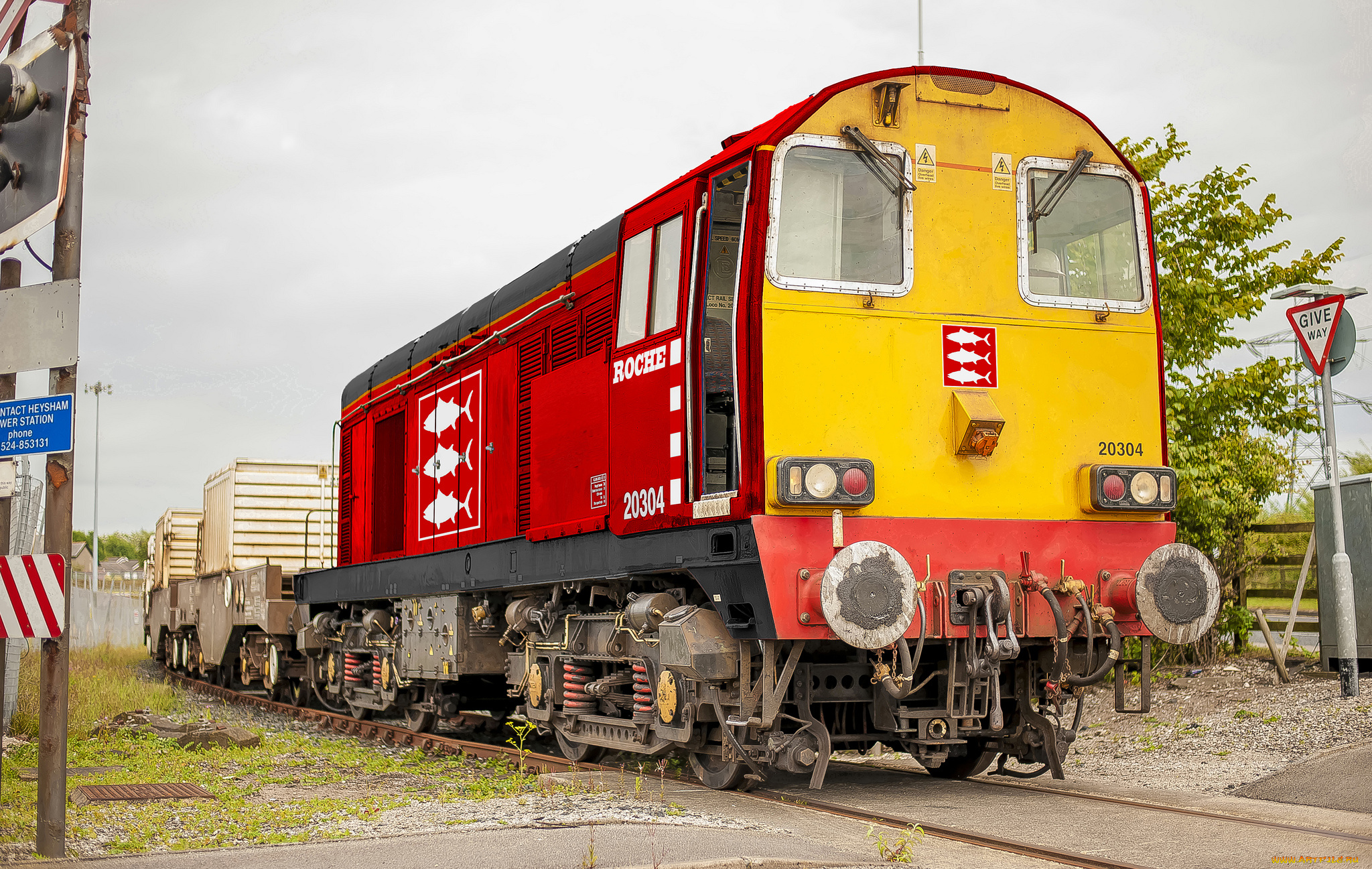 техника, поезда, состав, локомотив, дорога, железная