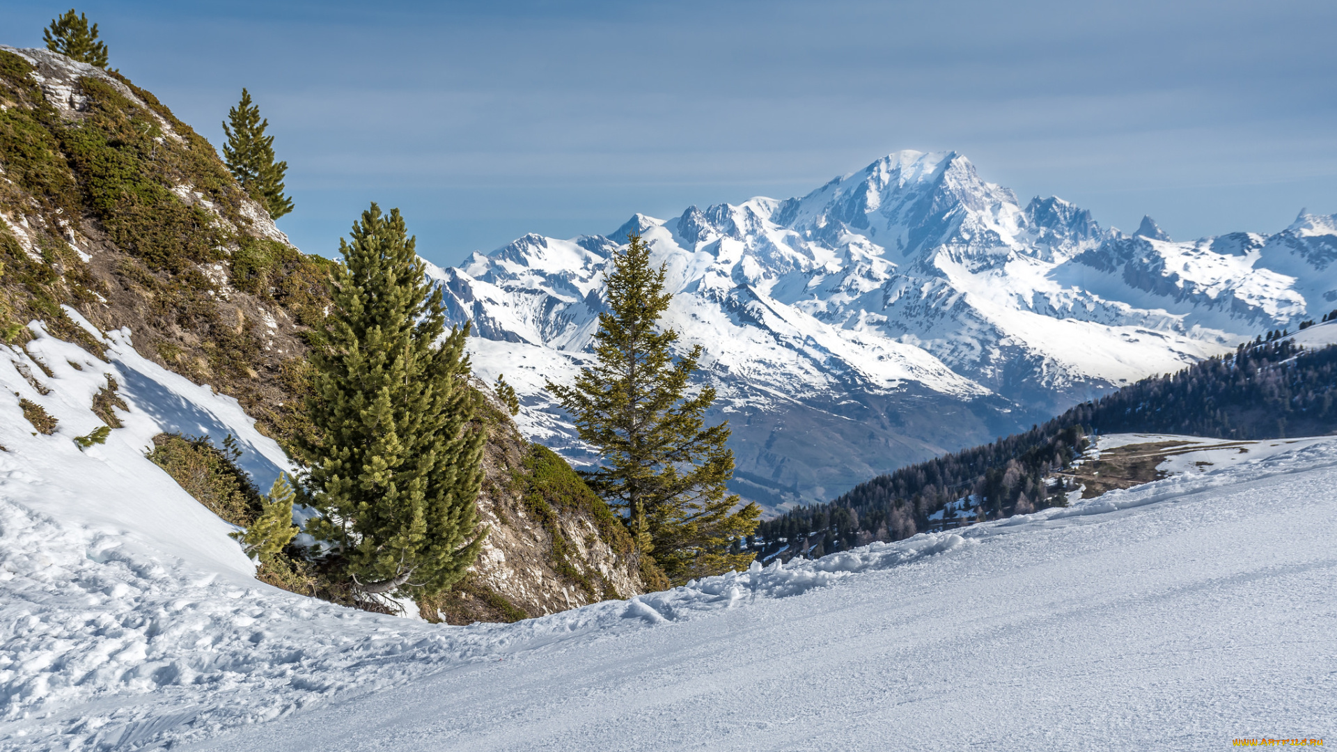 природа, горы, снег, лес