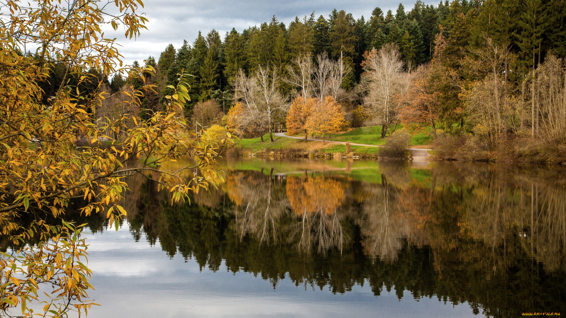 природа, реки, озера, река, лес