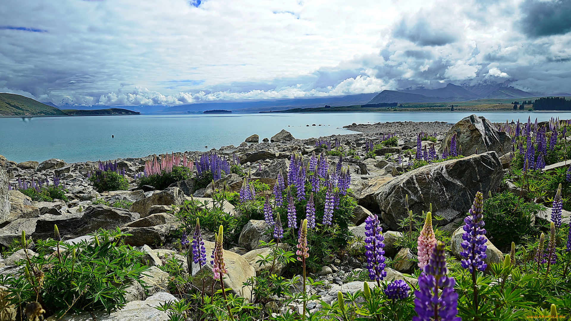 природа, реки, озера, река, лес