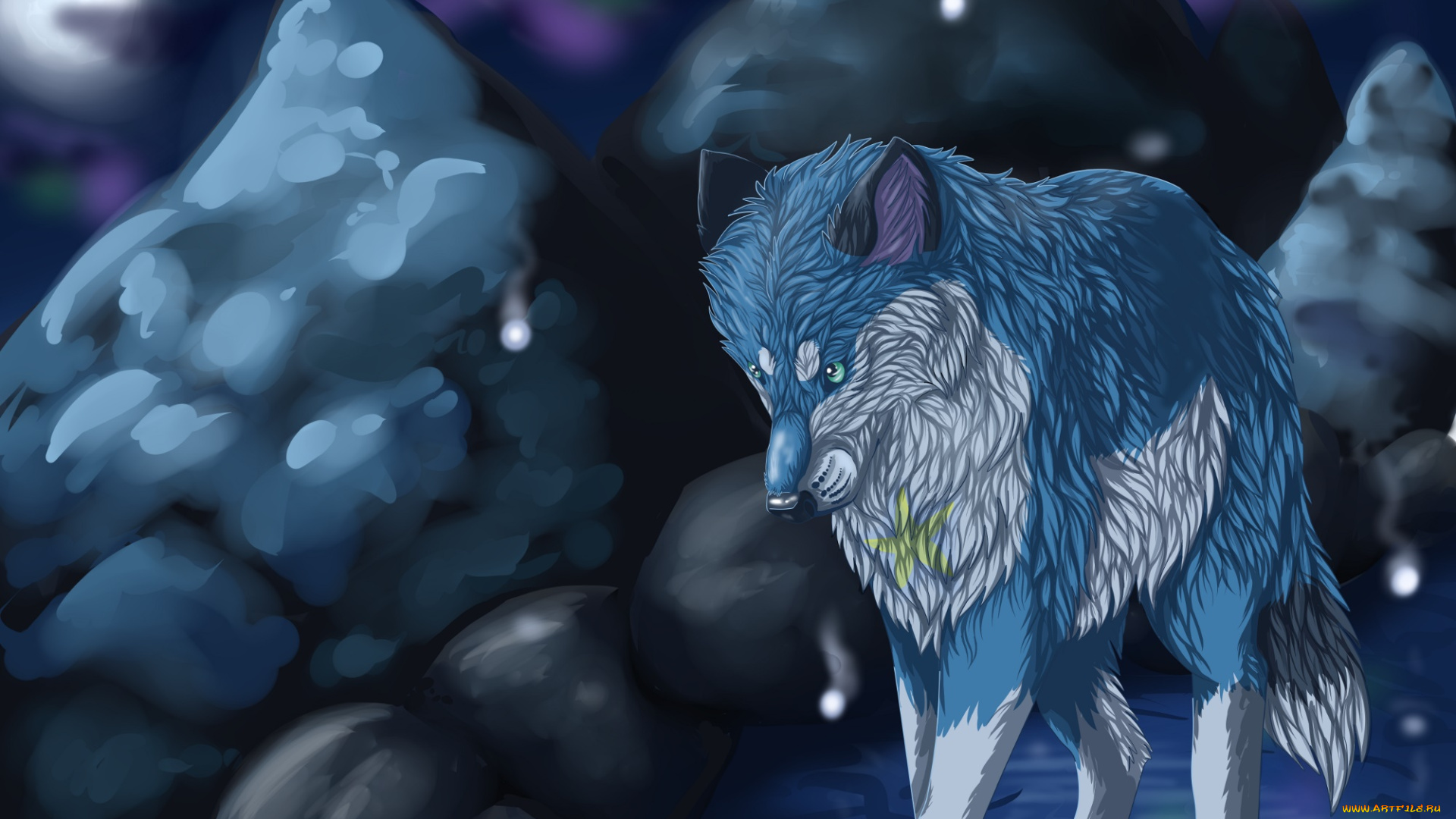 рисованное, животные, , волки, фон, взгляд, волк