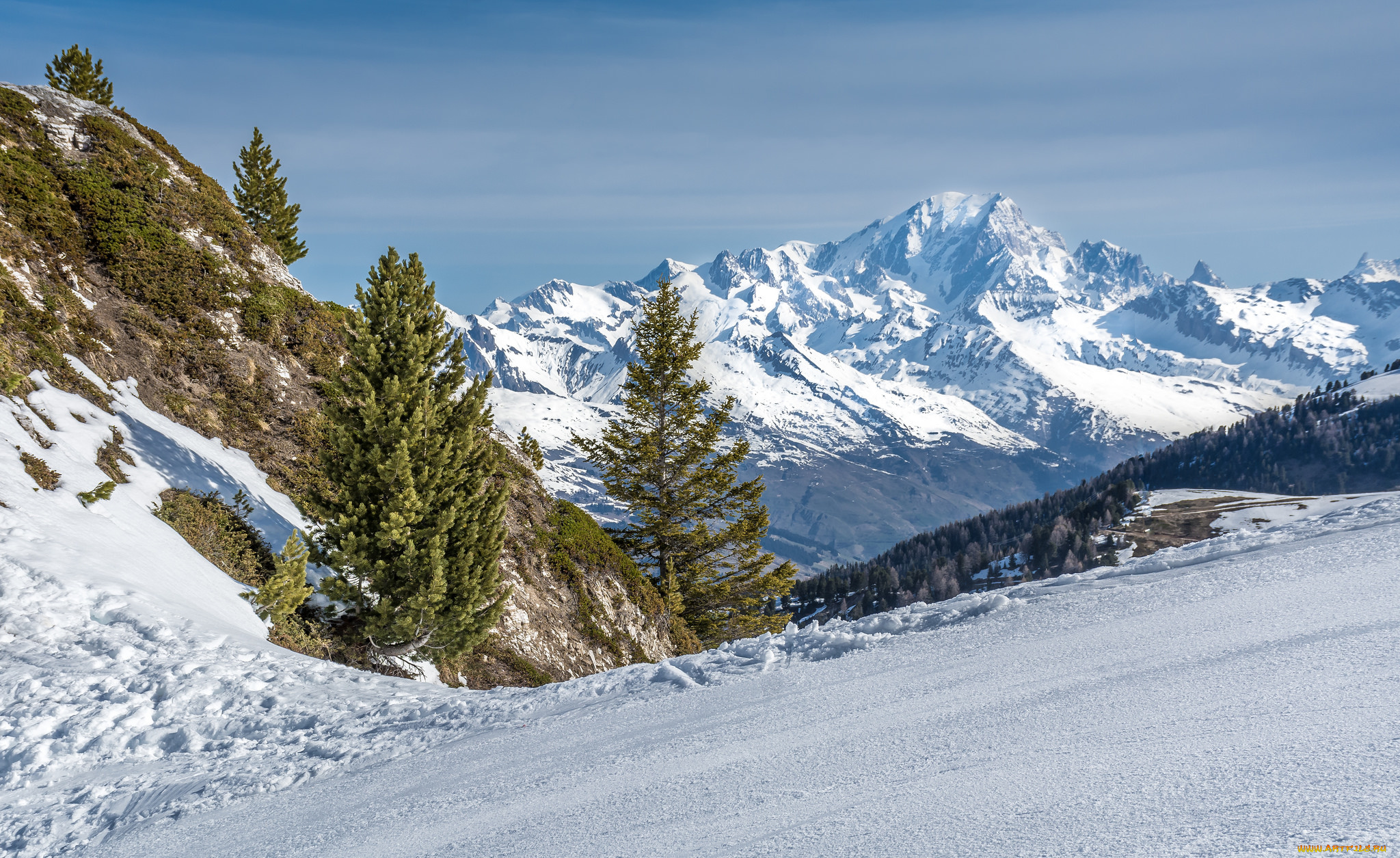 природа, горы, снег, лес