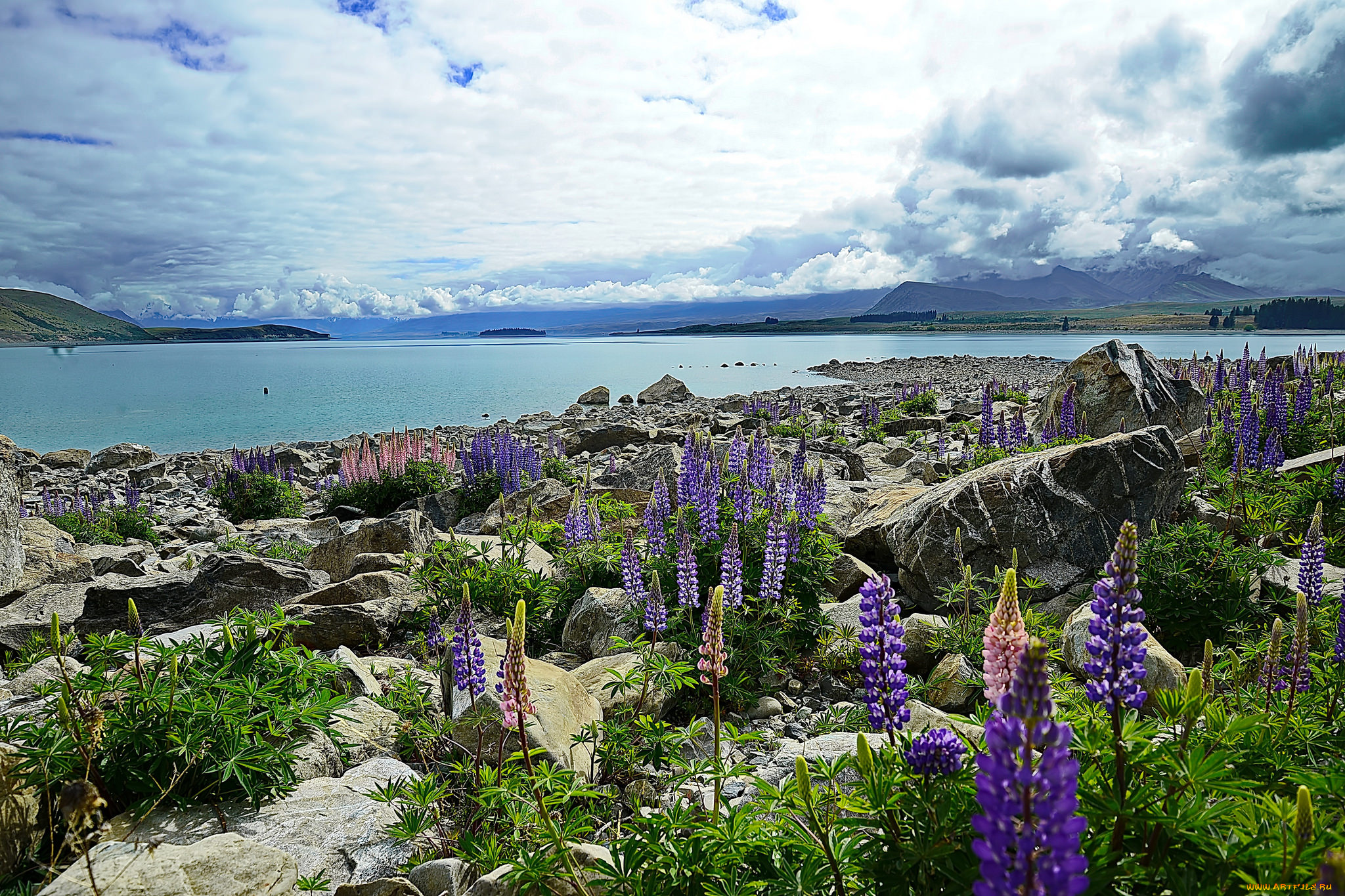 природа, реки, озера, река, лес