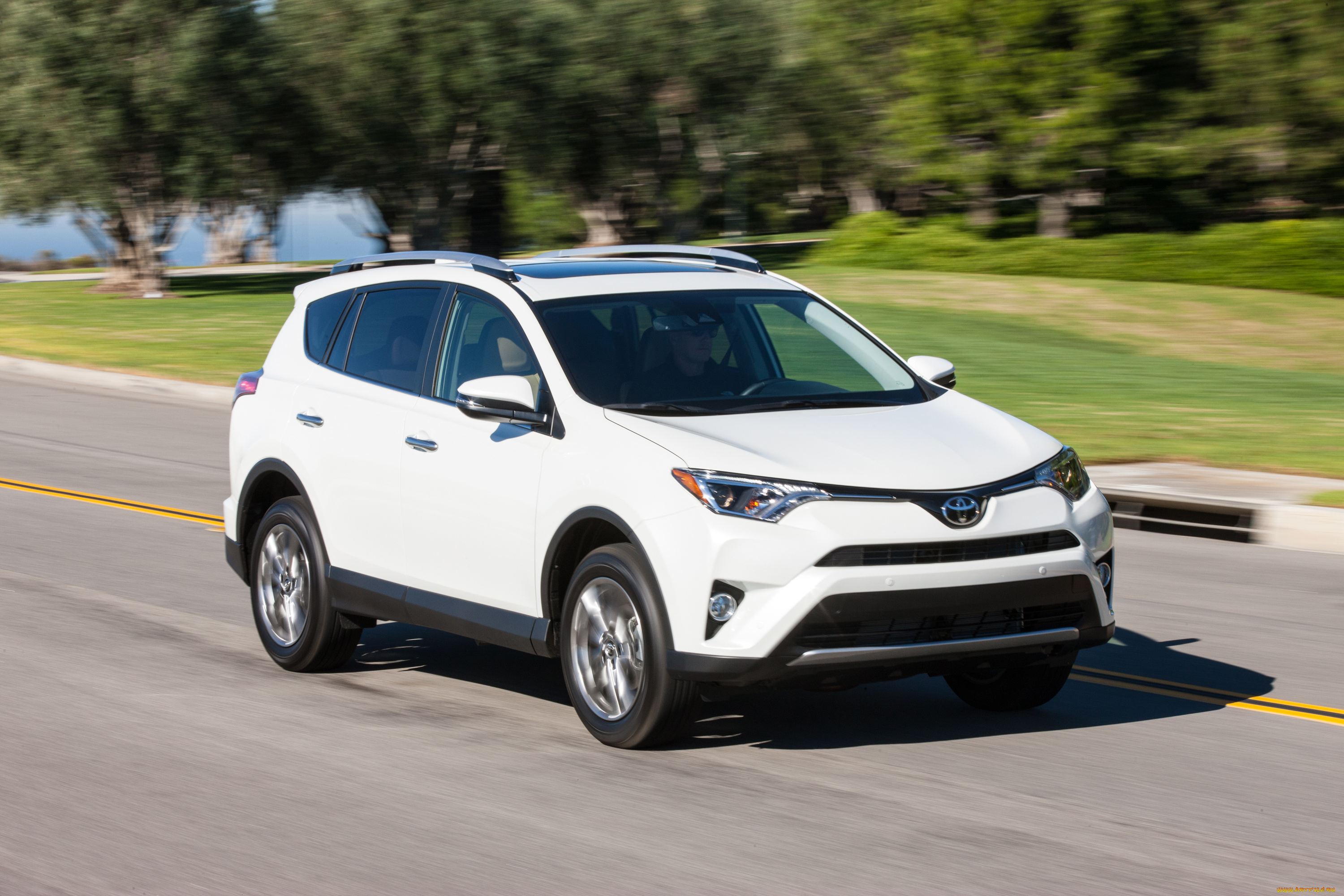 автомобили, toyota, светлый, 2016г, us-spec, rav4
