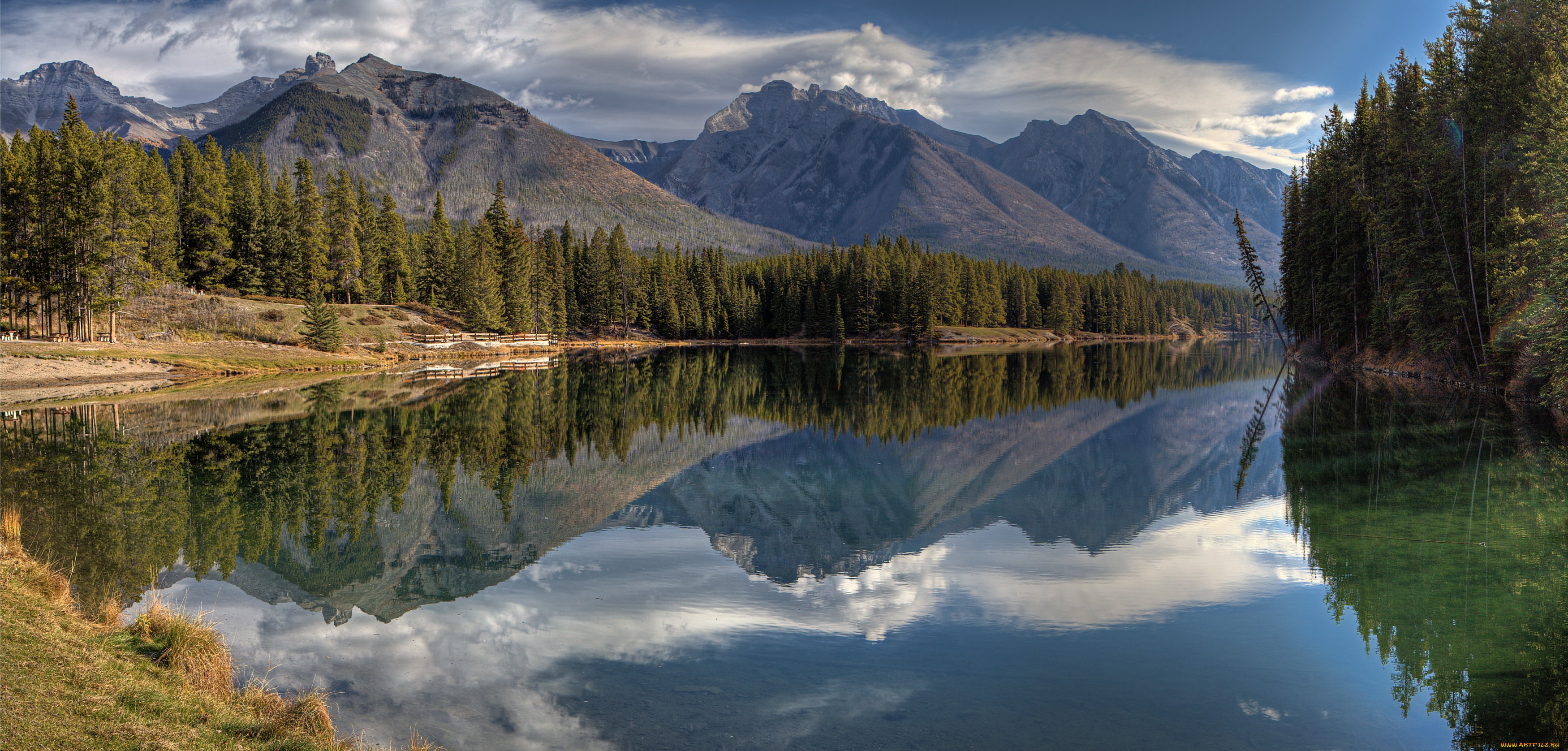 природа, реки, озера, река, лес