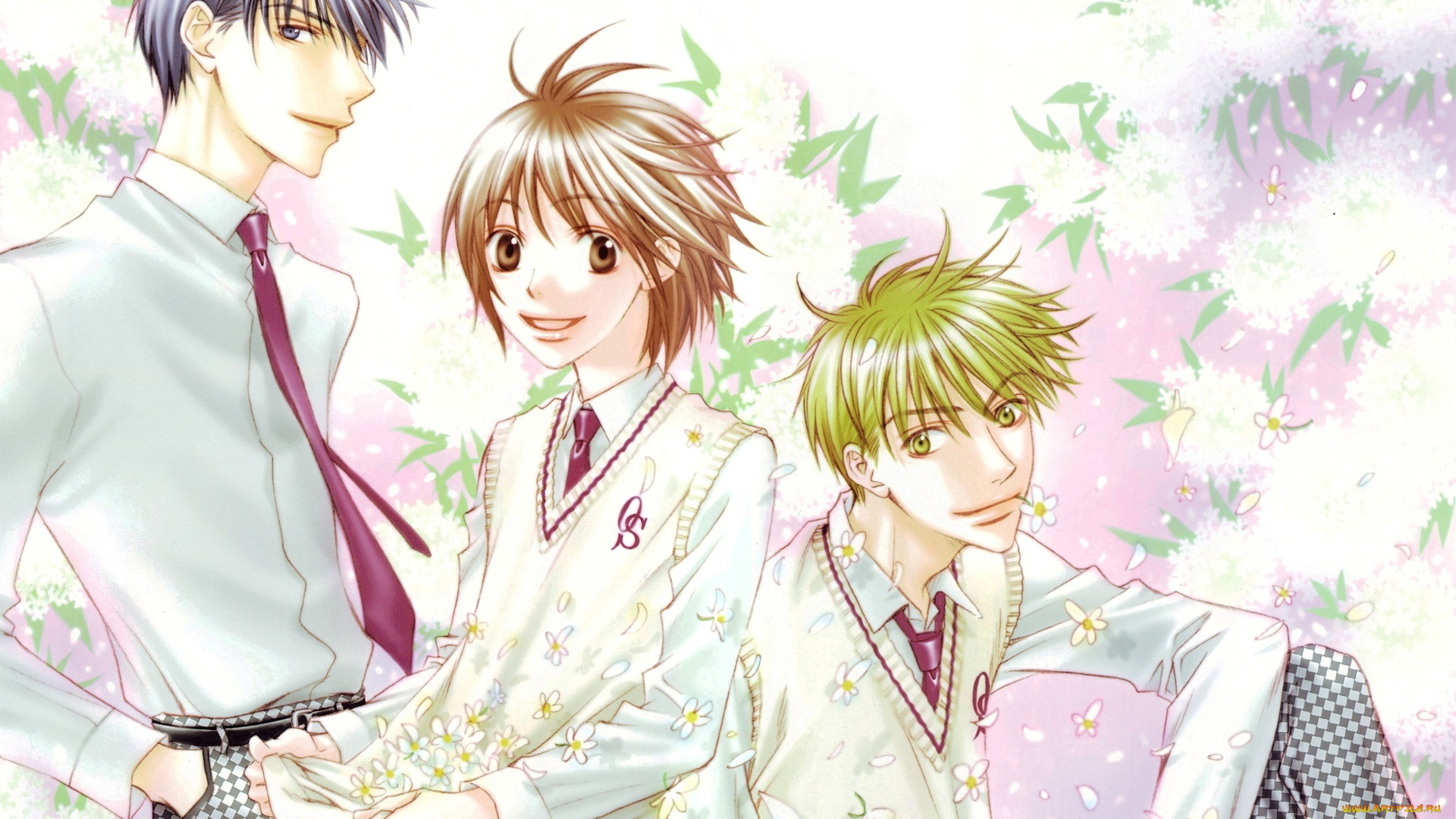 аниме, hanakimi, парни