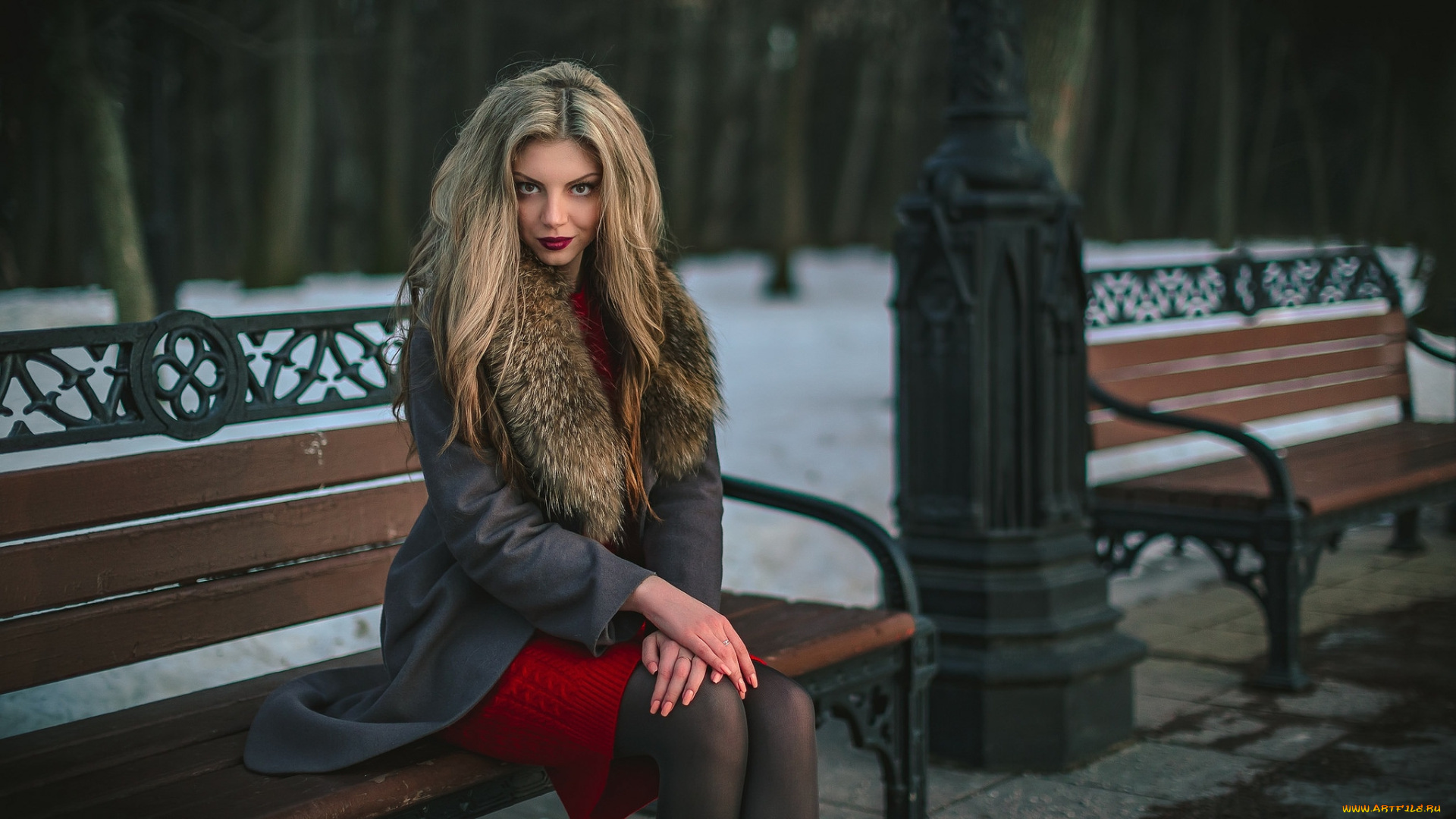 девушки, -unsort, , брюнетки, , шатенки, лицо, взгляд