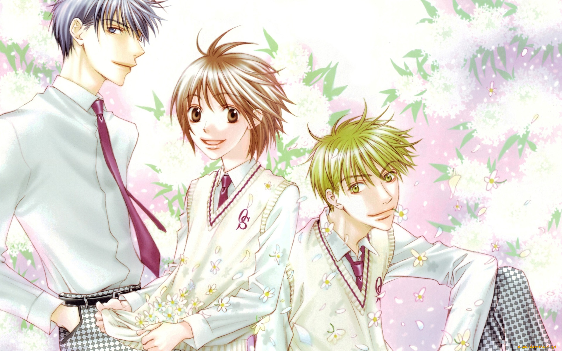 аниме, hanakimi, парни