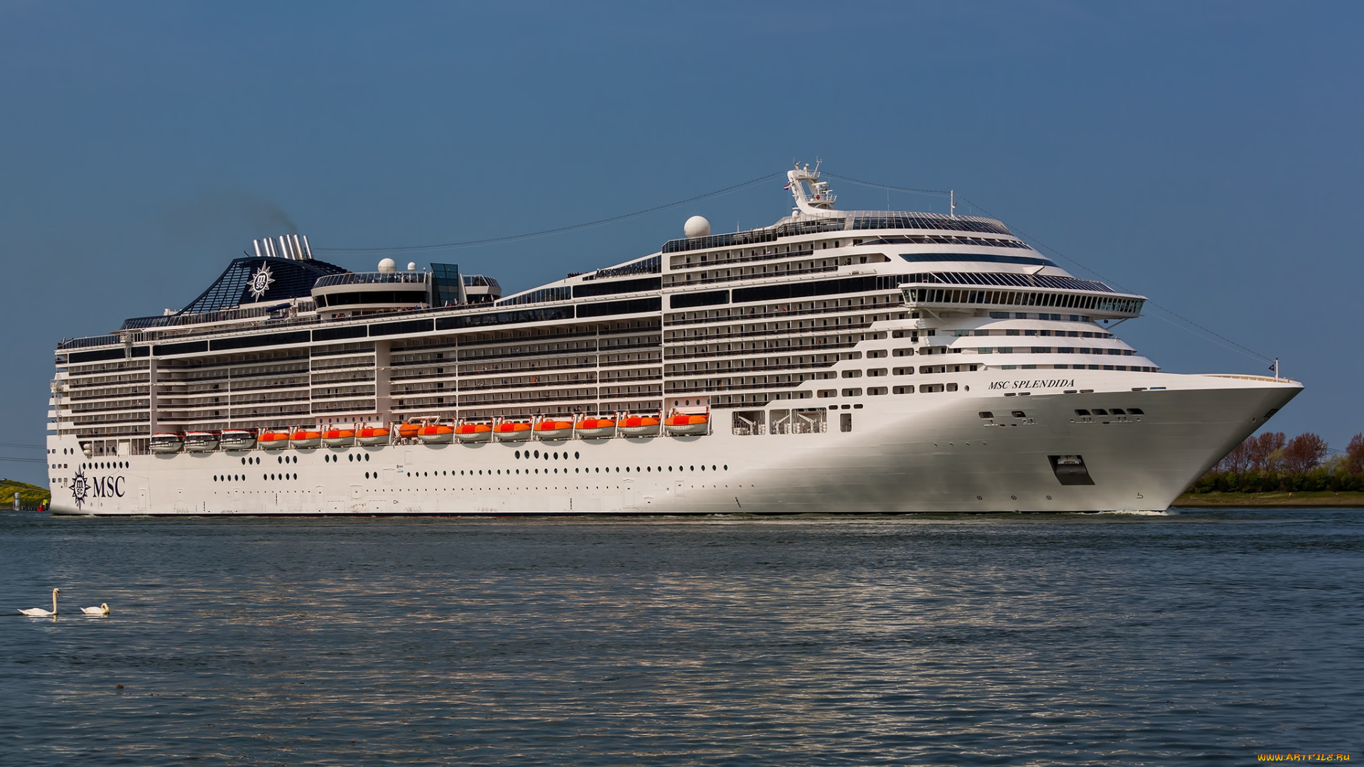 корабли, лайнеры, круиз, лайнер